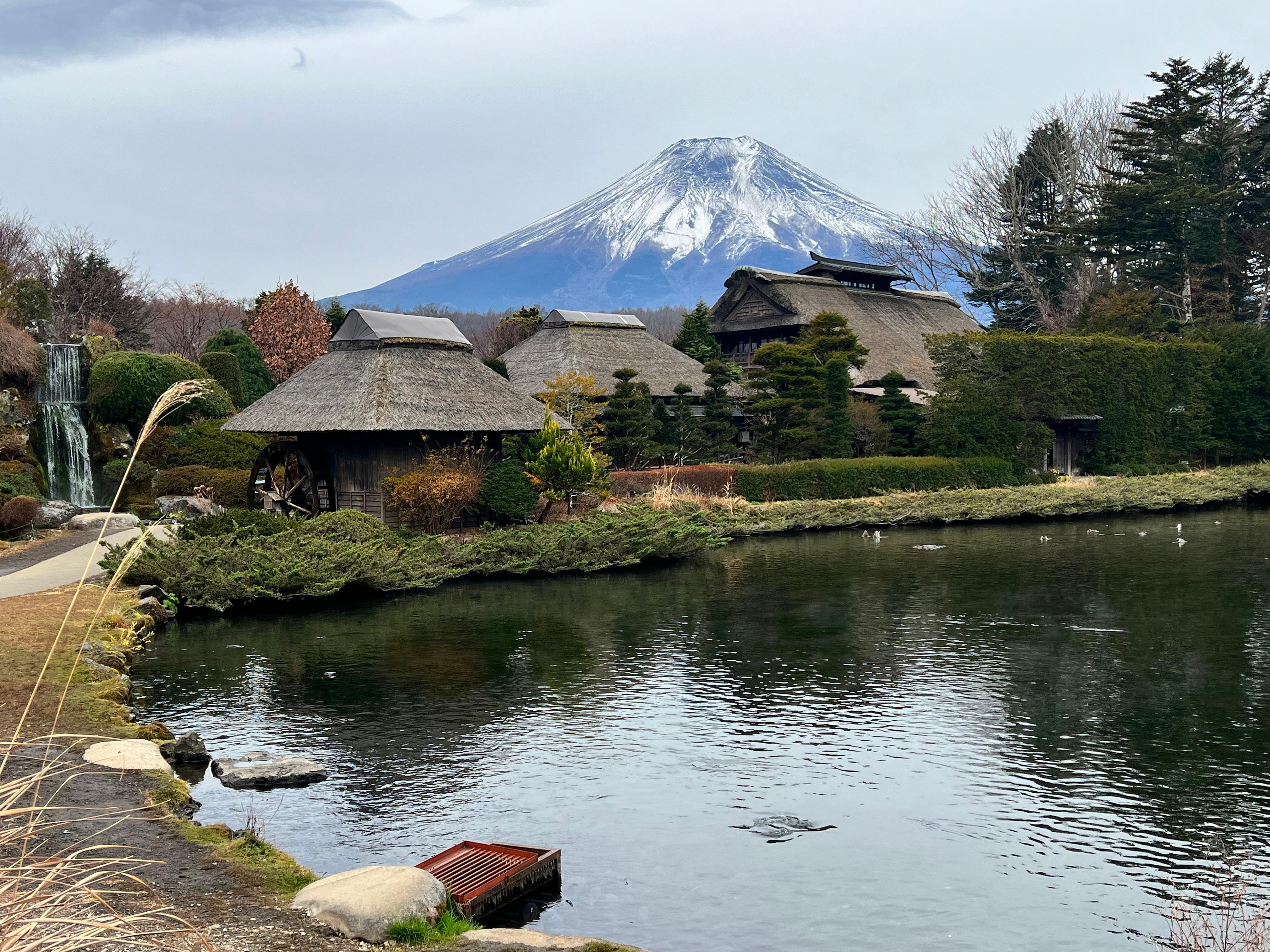 Mount Fuji & Hakone Private Full-Day Tour from Tokyo
