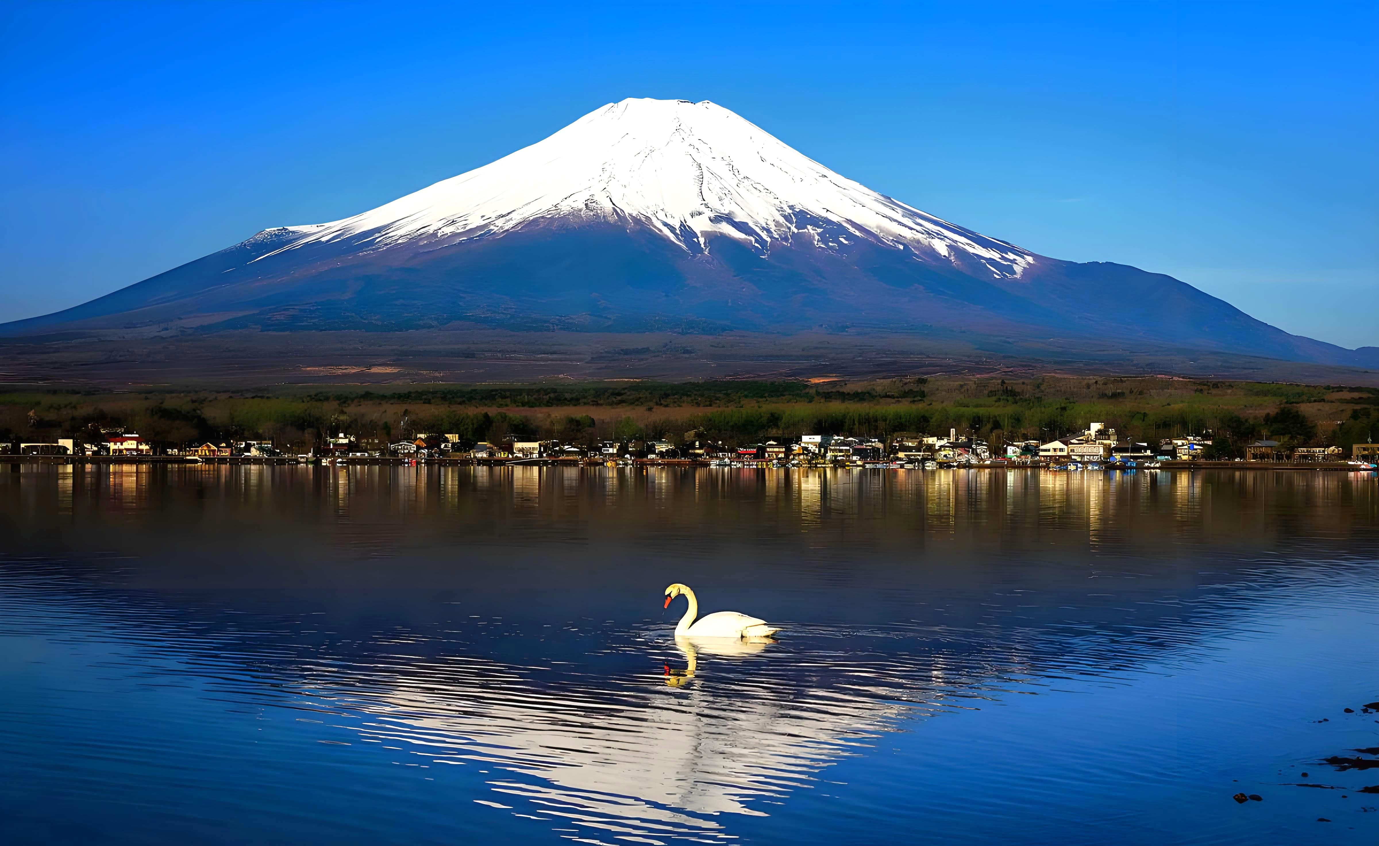Mt. Fuji & Lake Kawaguchi Small Group Day Trip