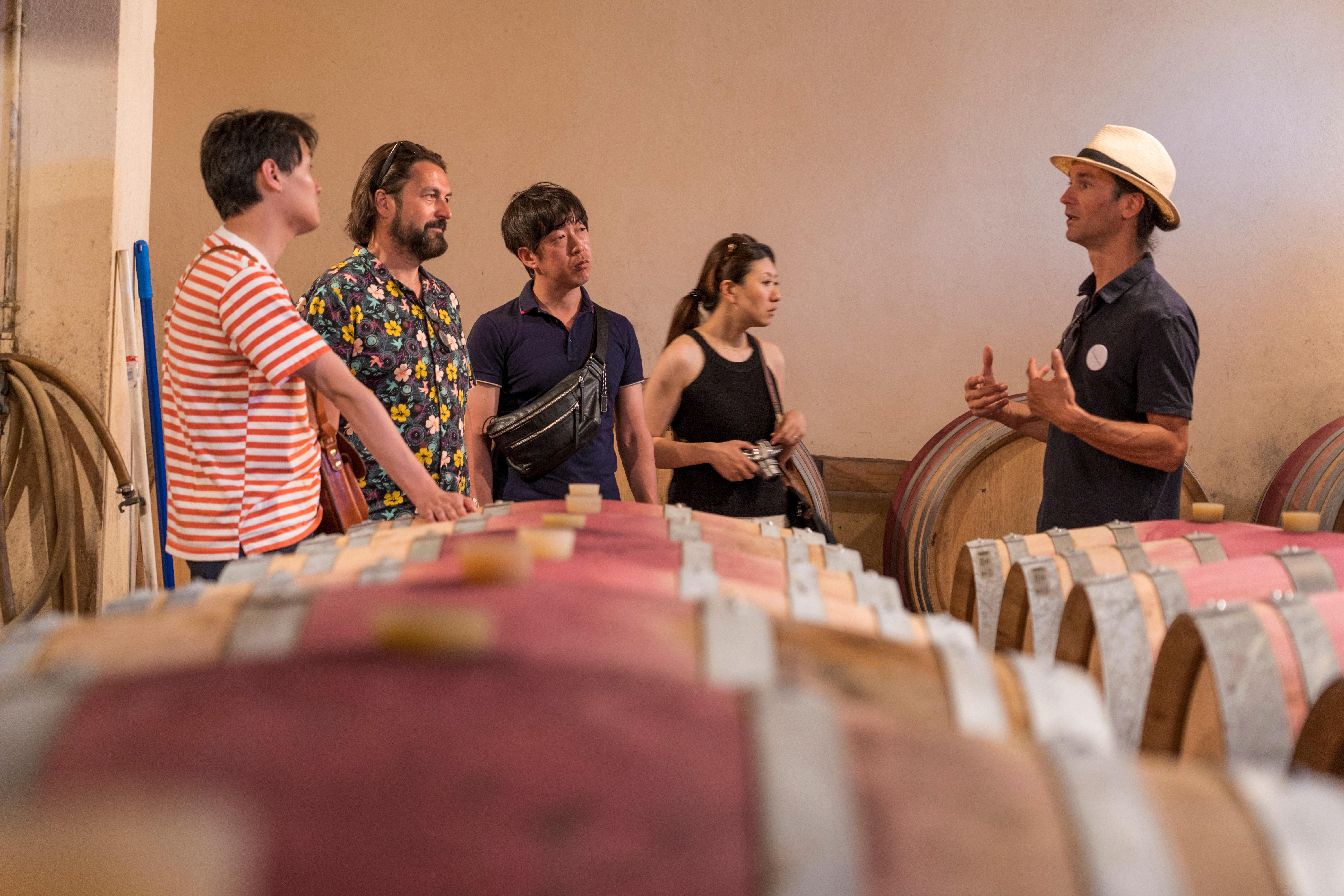 Full-day Luberon and Châteauneuf-du-Pape wine tour from Avignon — vineyards and hilltop village