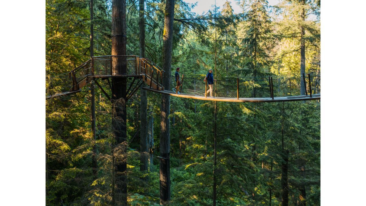 Capilano Suspension Bridge Park Entry