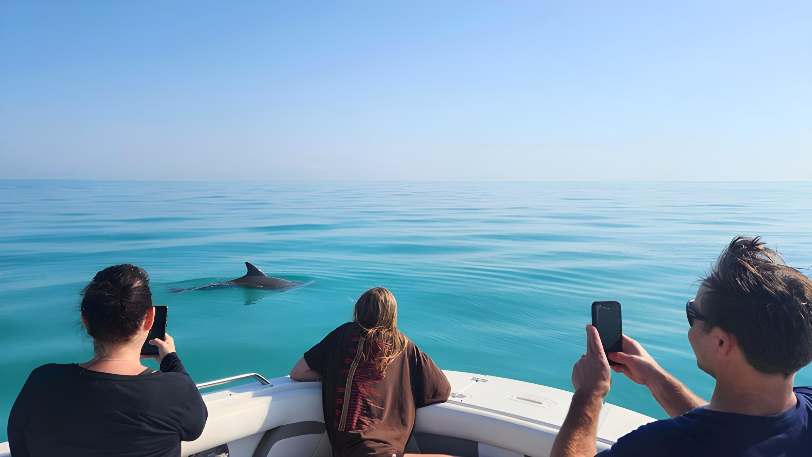 Key West Dolphin Watching & Snorkeling Adventure