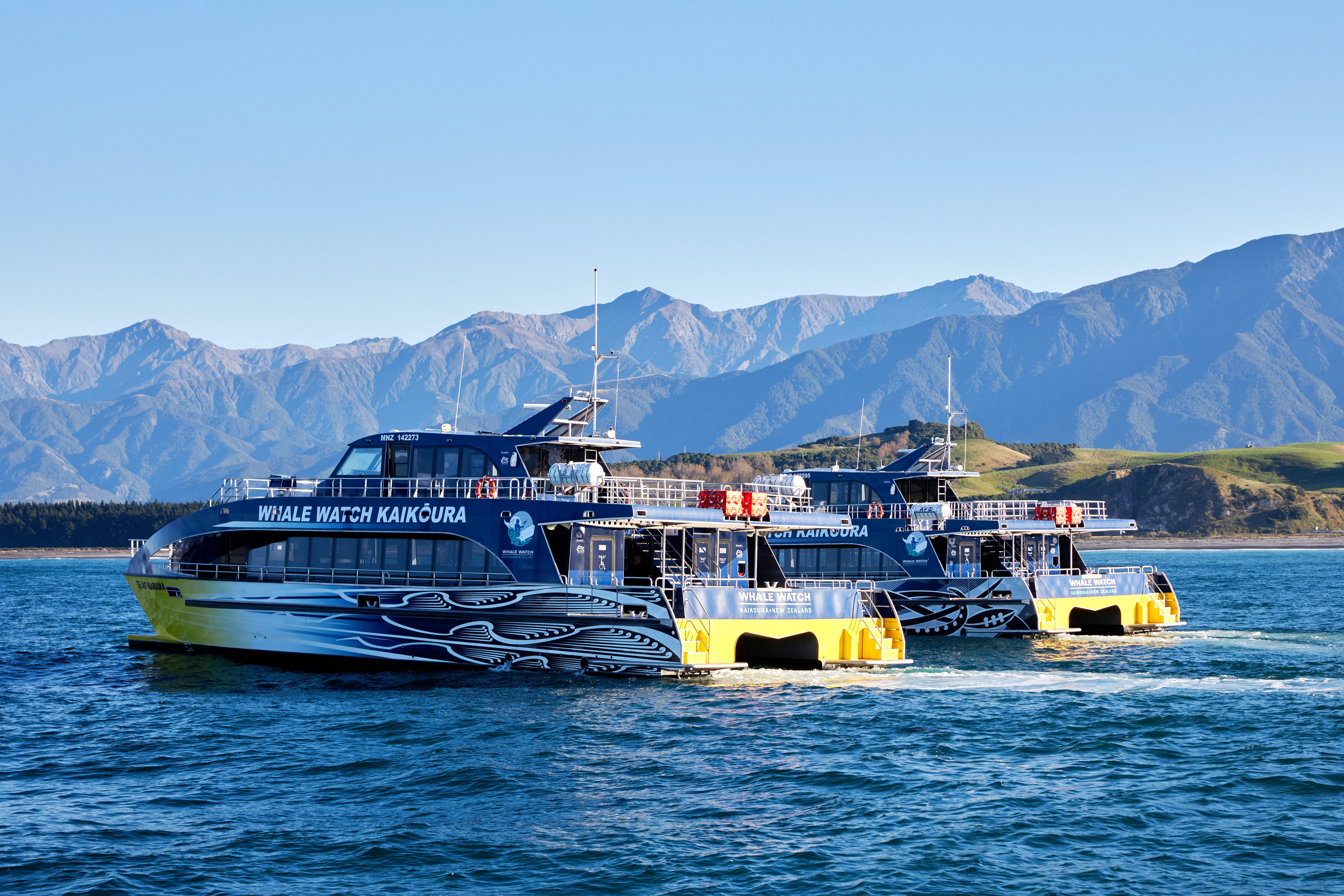 South Island guided tour photo — image 6