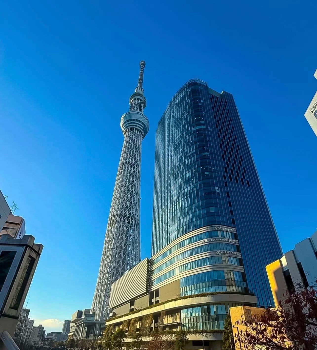 Tokyo Private Full-Day City Tour — Custom Itinerary with English Guide