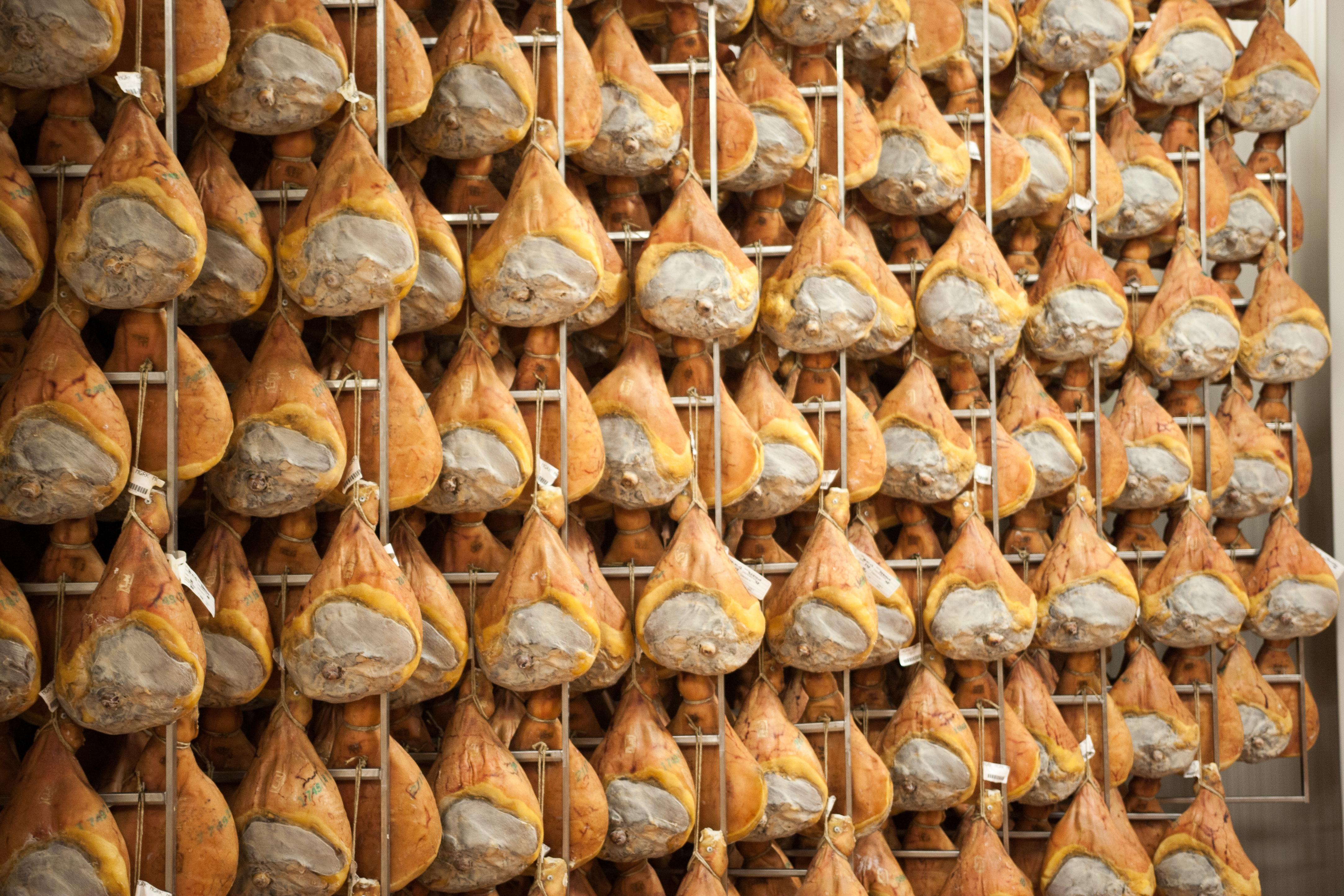 cheese tasting in Modena — photo 7