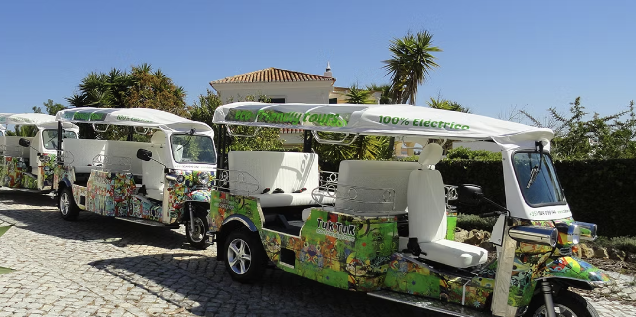 Electric Tuk-Tuk Tour of Lagos with Local Guide