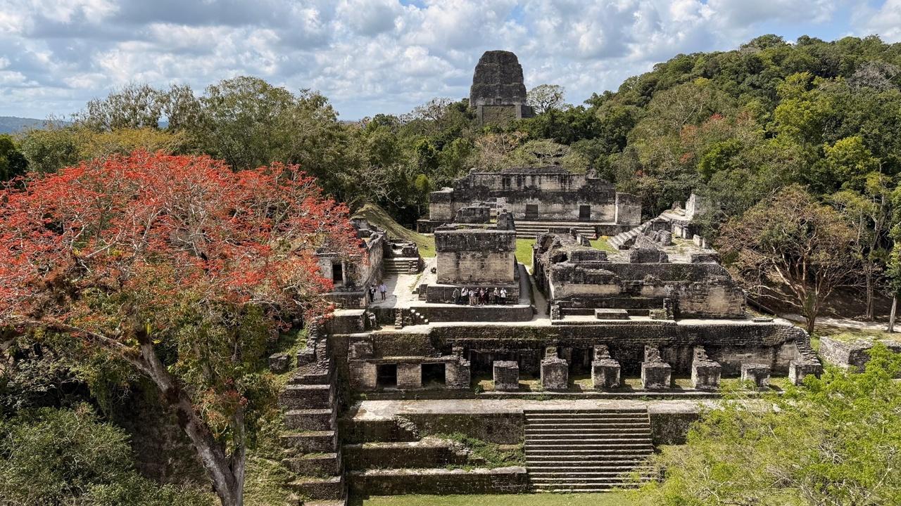 Tikal National Park Full-Day Adventure from San Ignacio