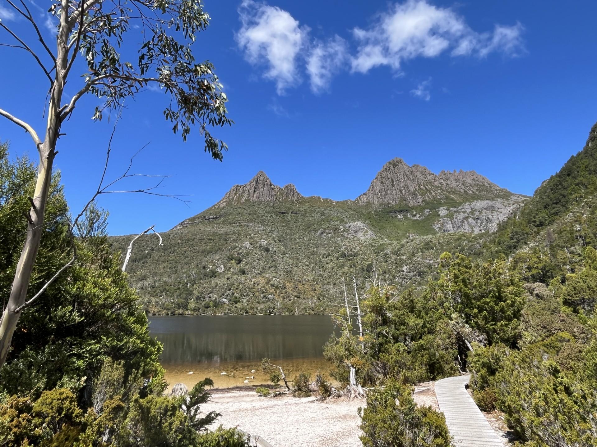 Dove Lake Circuit: Guided Half-Day Hike at Cradle Mountain