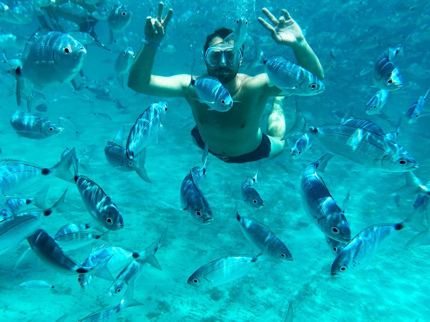 From Palau: La Maddalena Archipelago Catamaran Tour w/ Lunch - 2026 (Verified Reviews)