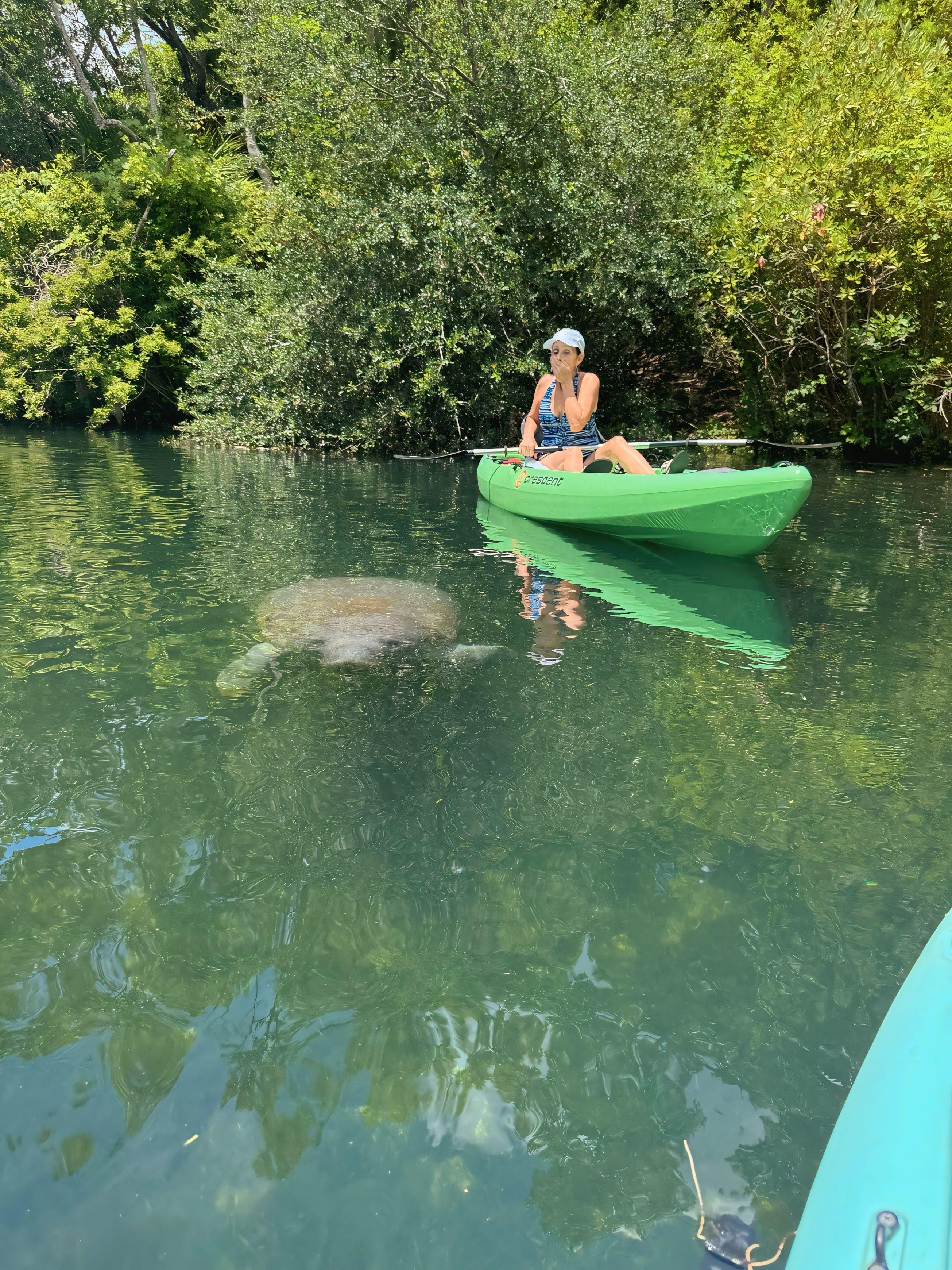 Crystal River Kayak & Paddleboard Rental