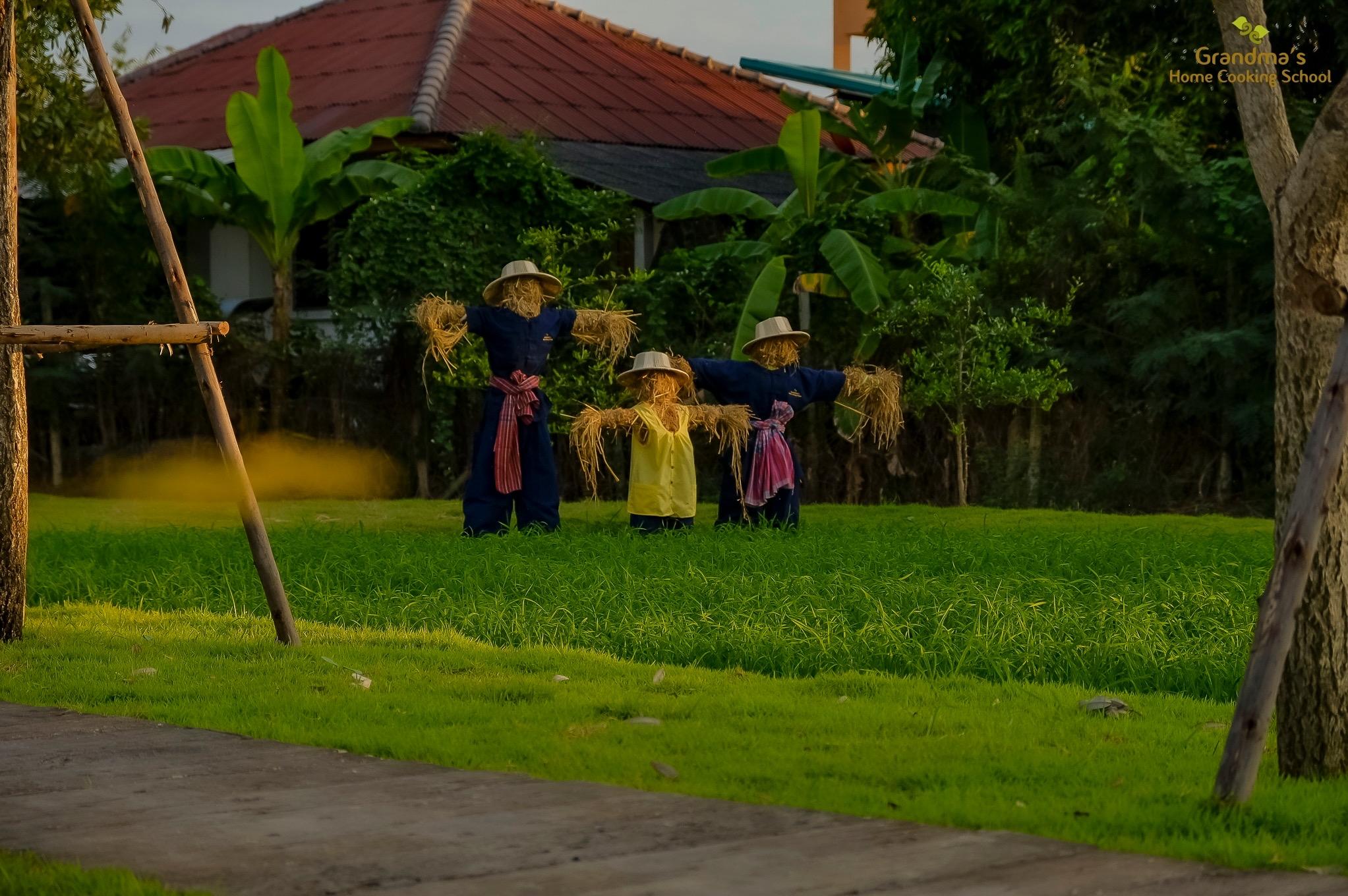 Thai Cooking Class in Chiang Mai — image 66