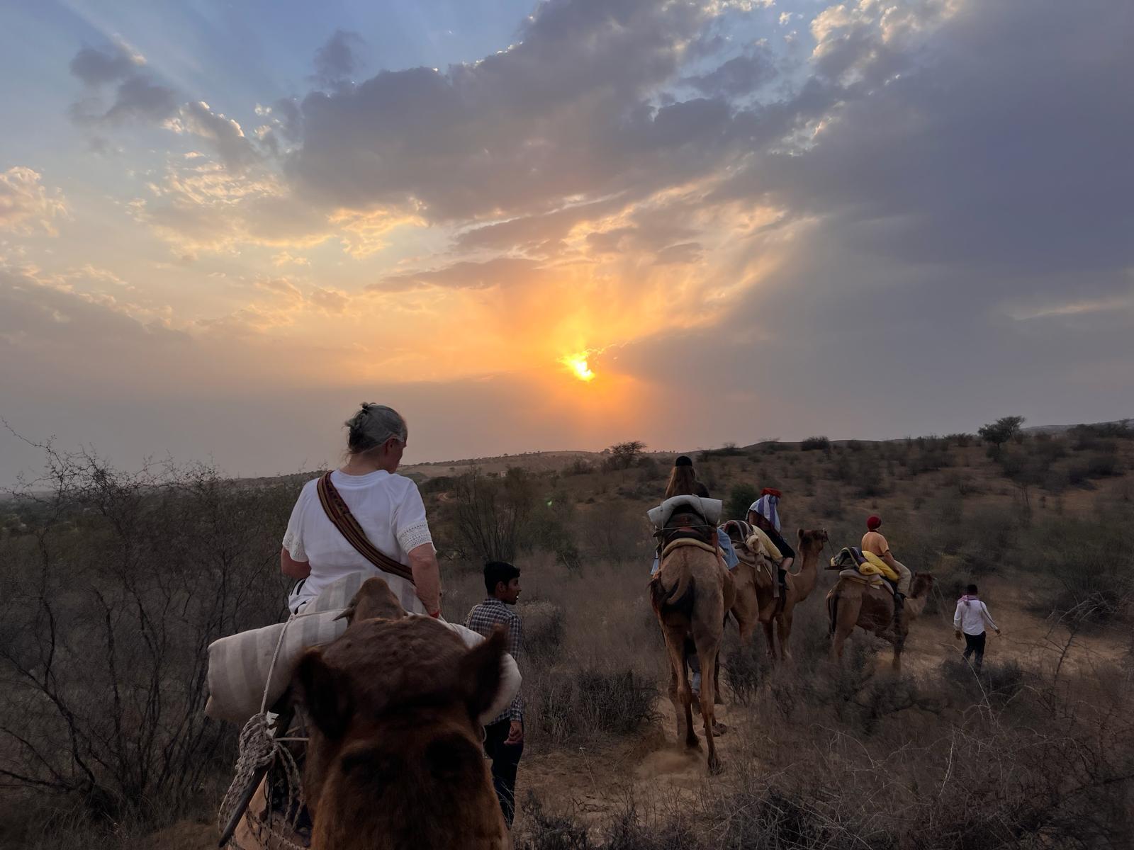 Jodhpur: Thar Desert Camel & Jeep Safari with Traditional Dining