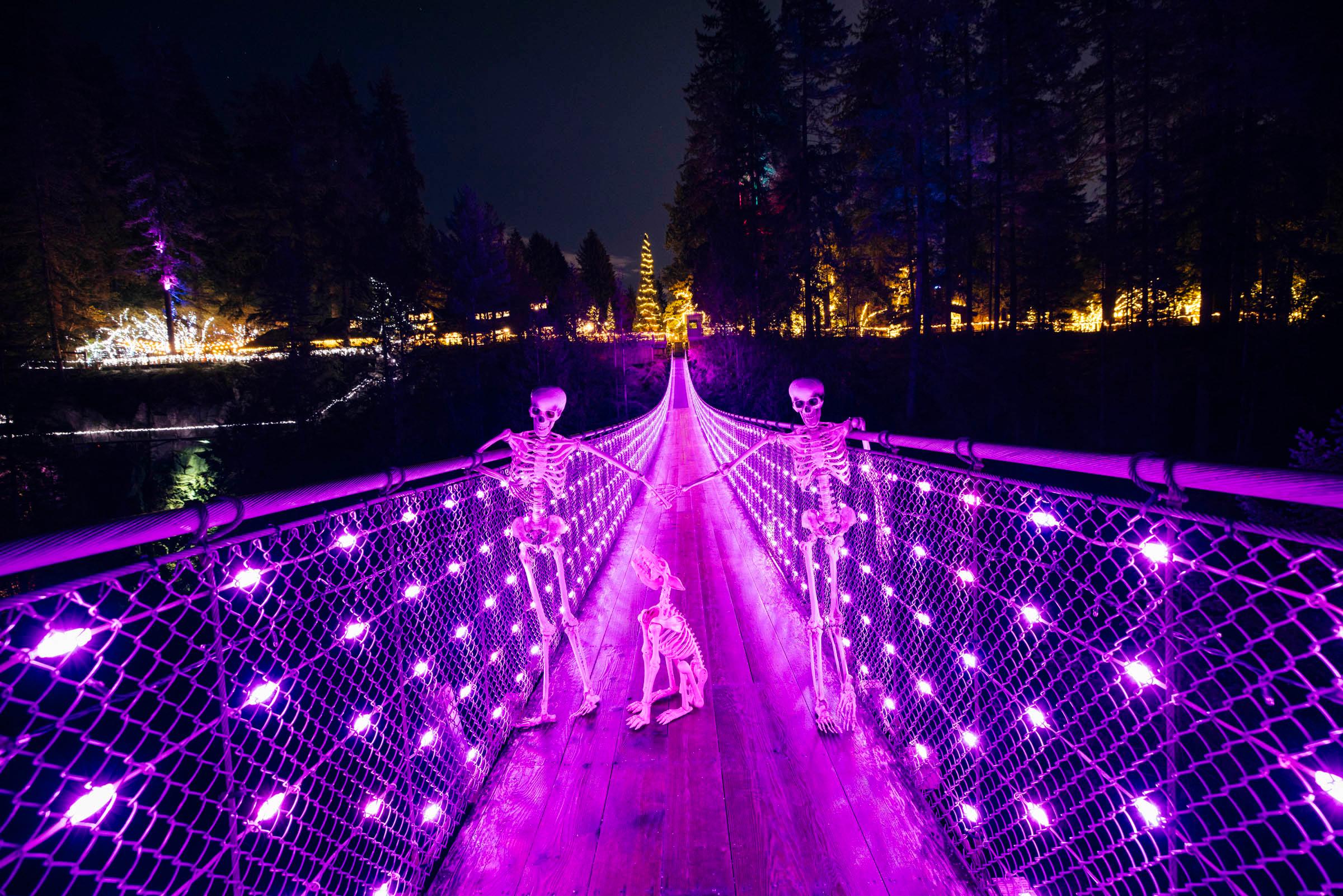 Vancouver North Shore & Capilano Canyon Lights Explorer