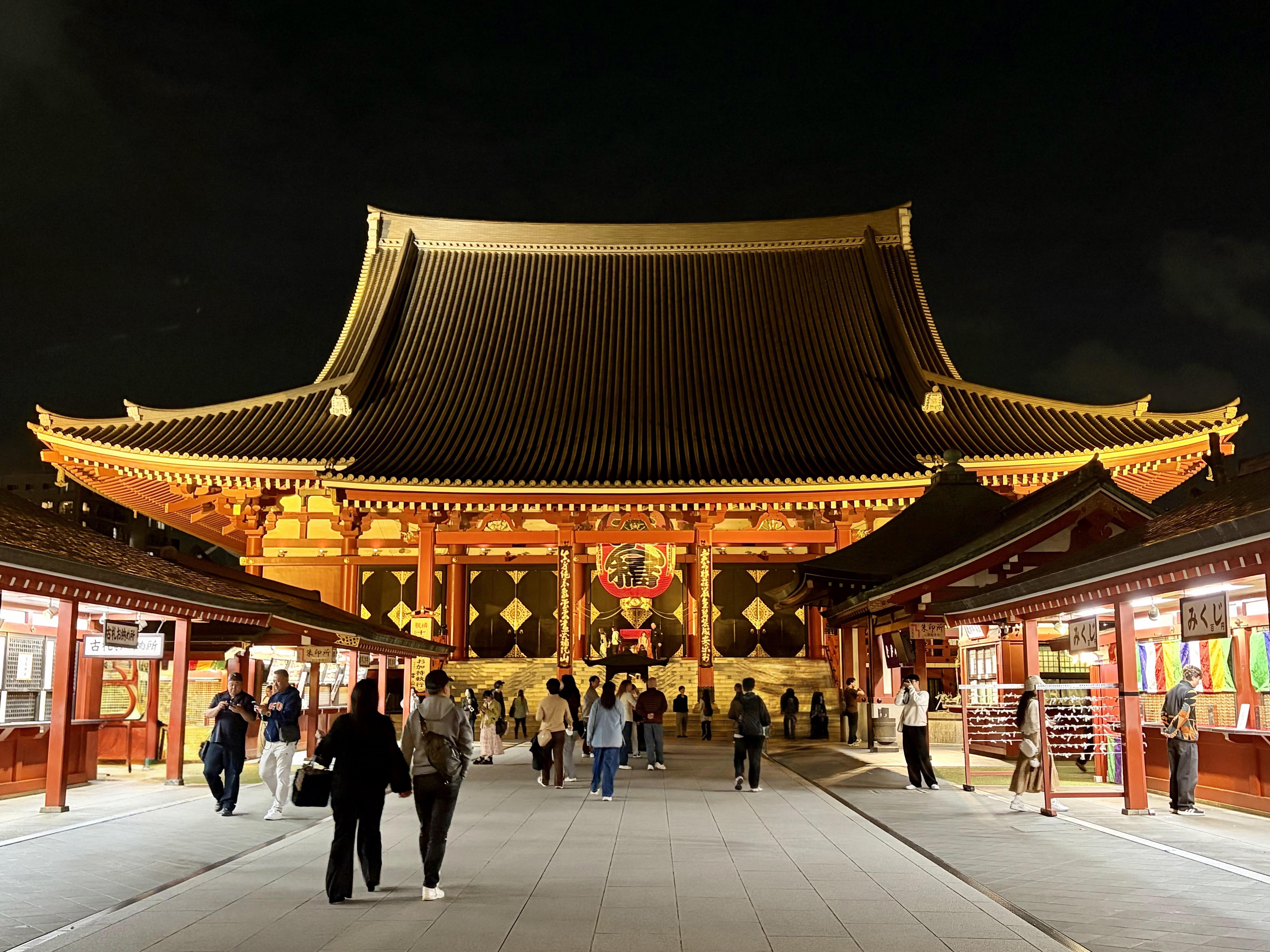 Private Evening Walking Tour with Tokyo Native Guide