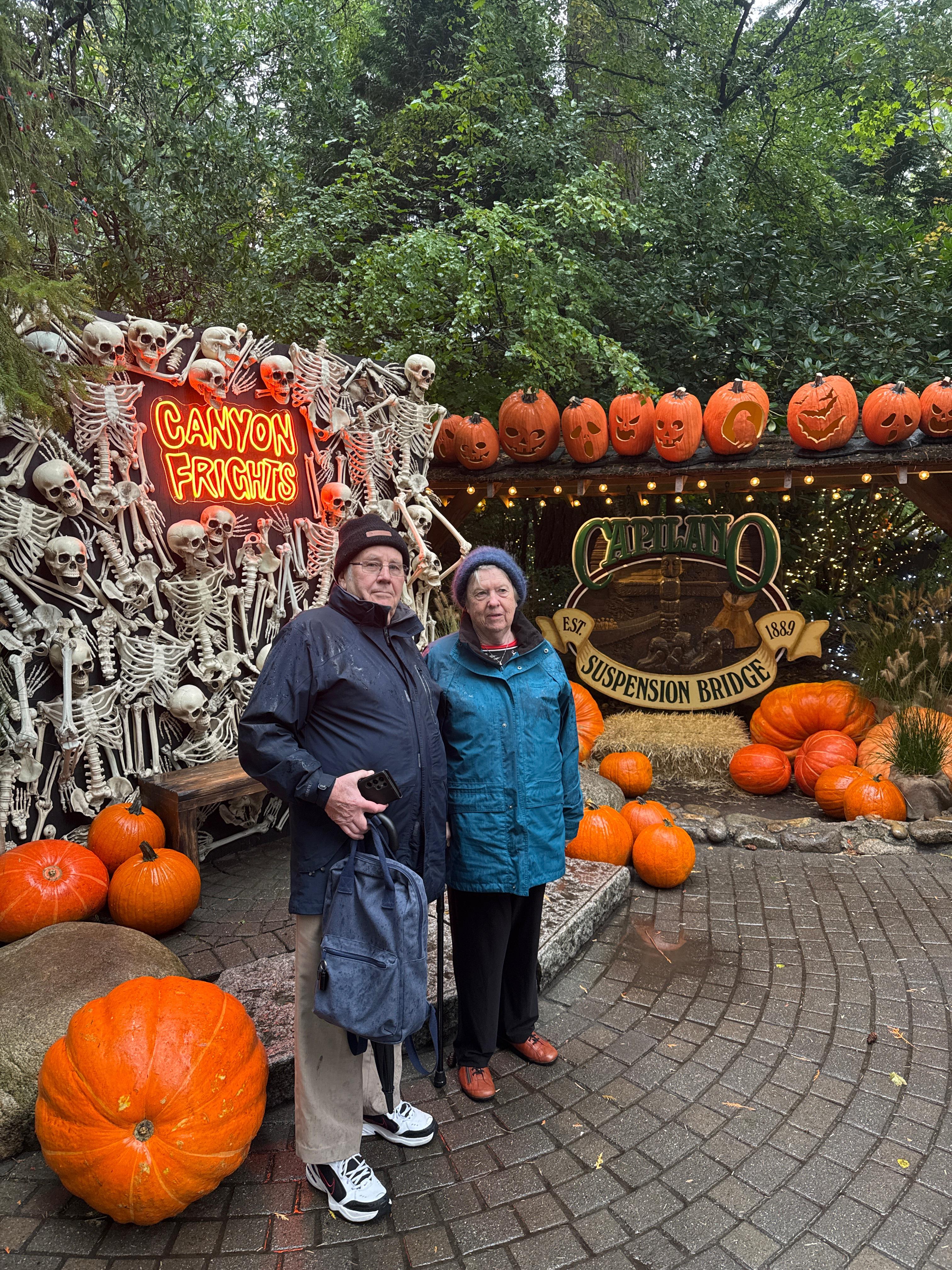 Capilano Suspension Bridge & Stanley Park Small Group Tour