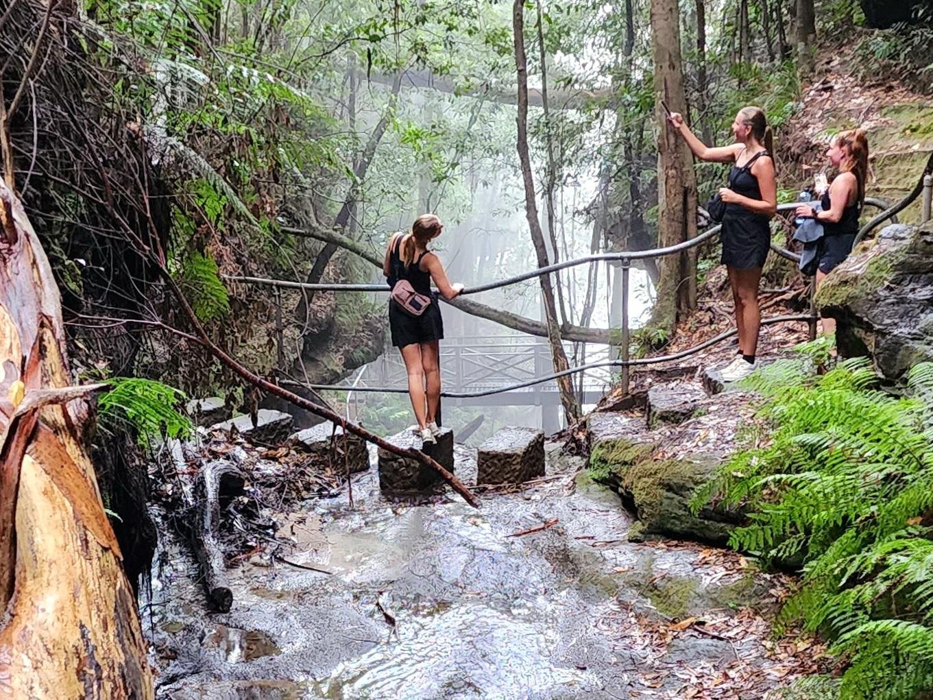 From Sydney: Blue Mountains Tour with Waterfall Walk & Lunch