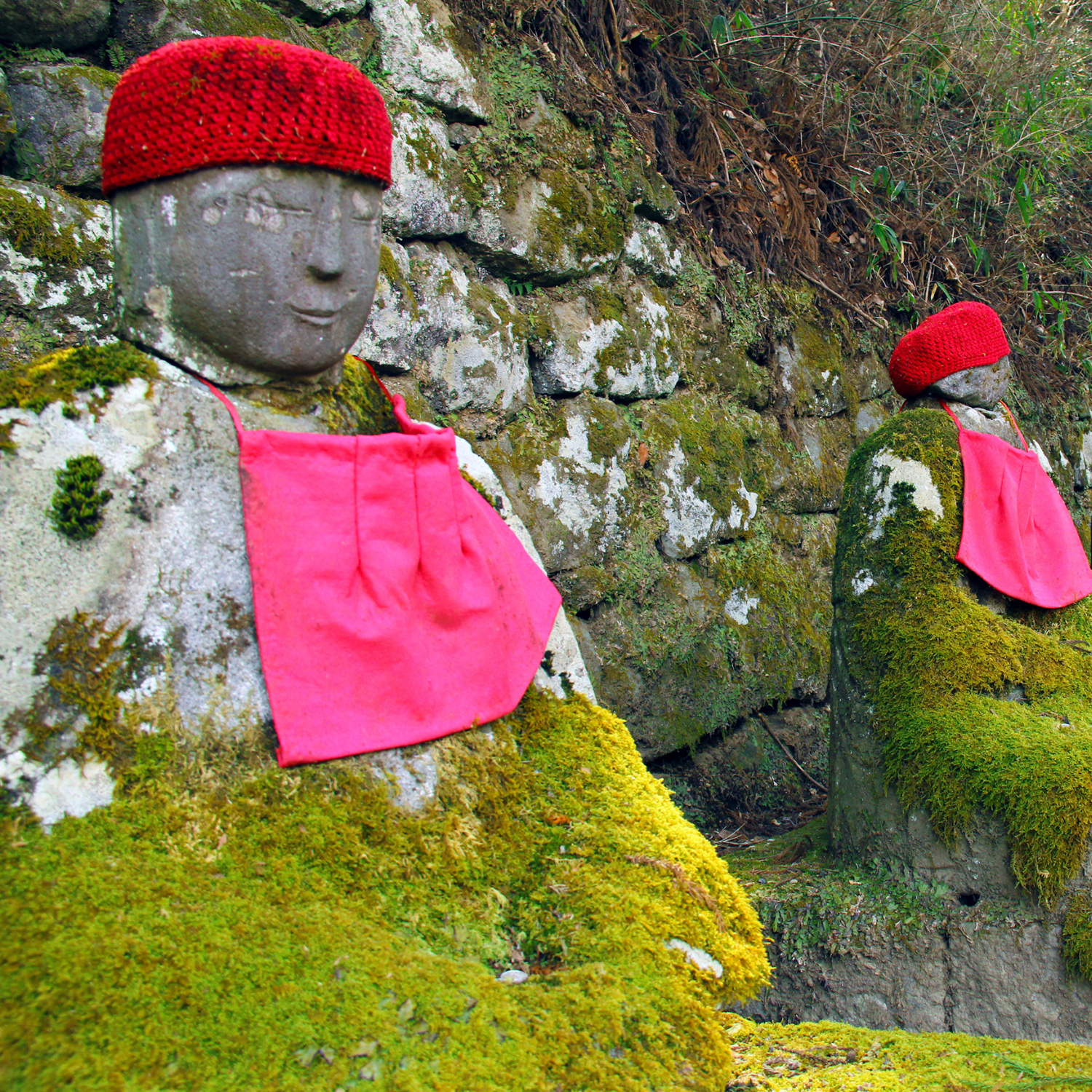 Private Nikko Day Tour from Tokyo – Fully Customizable