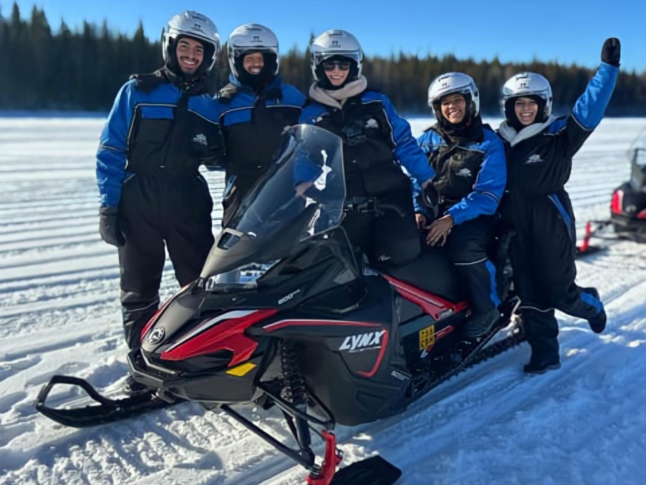 Rovaniemi Arctic Snowmobile Safari on Private Forest Trails
