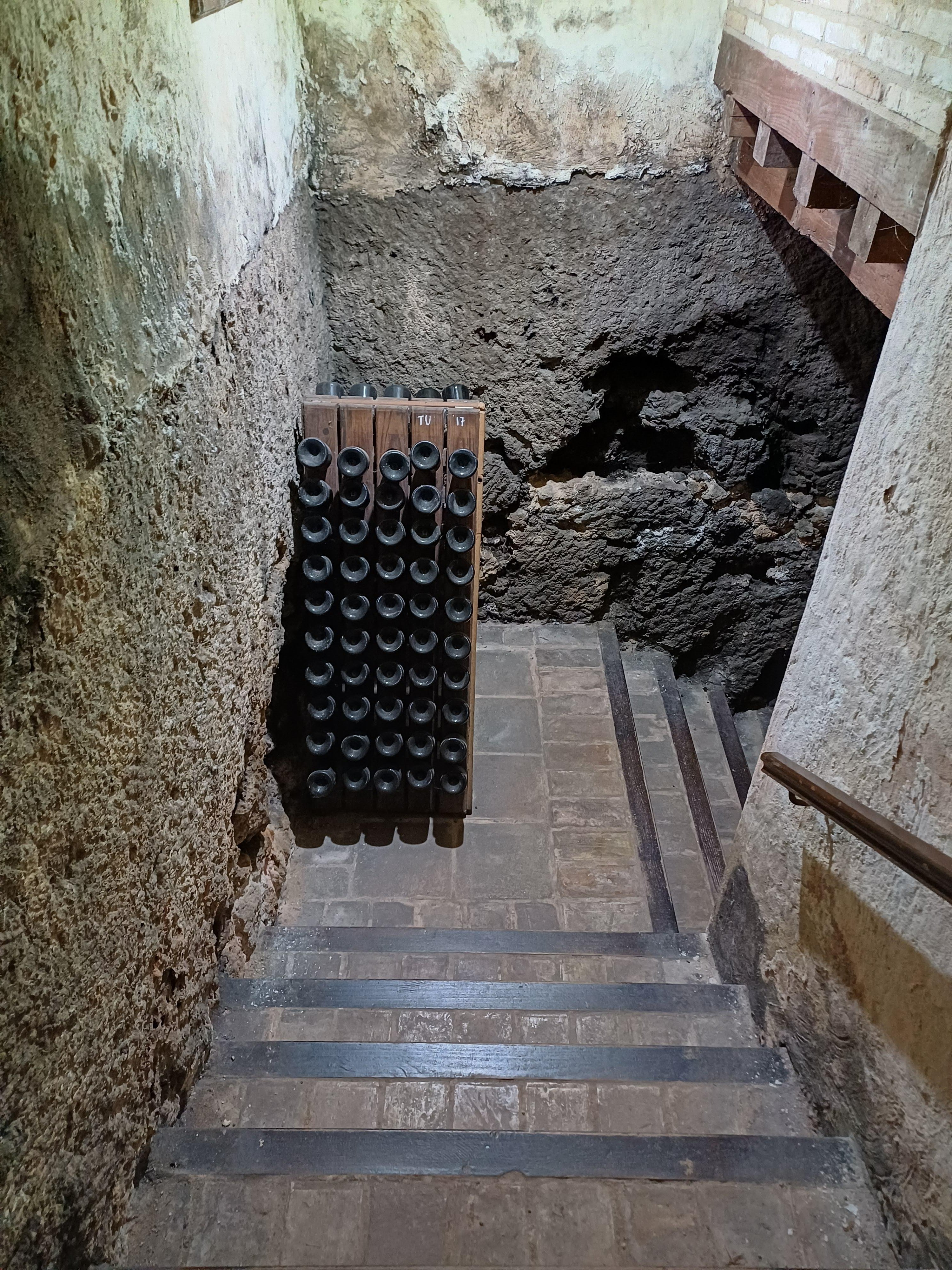 cava tour in Valencia — photo 6