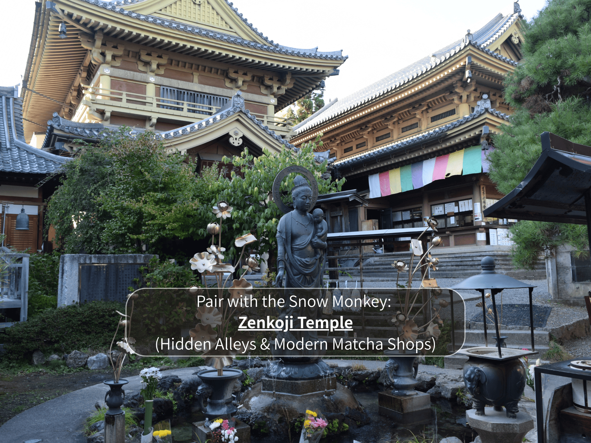 Nagano Snow Monkeys & Hidden Gems Private Day Tour