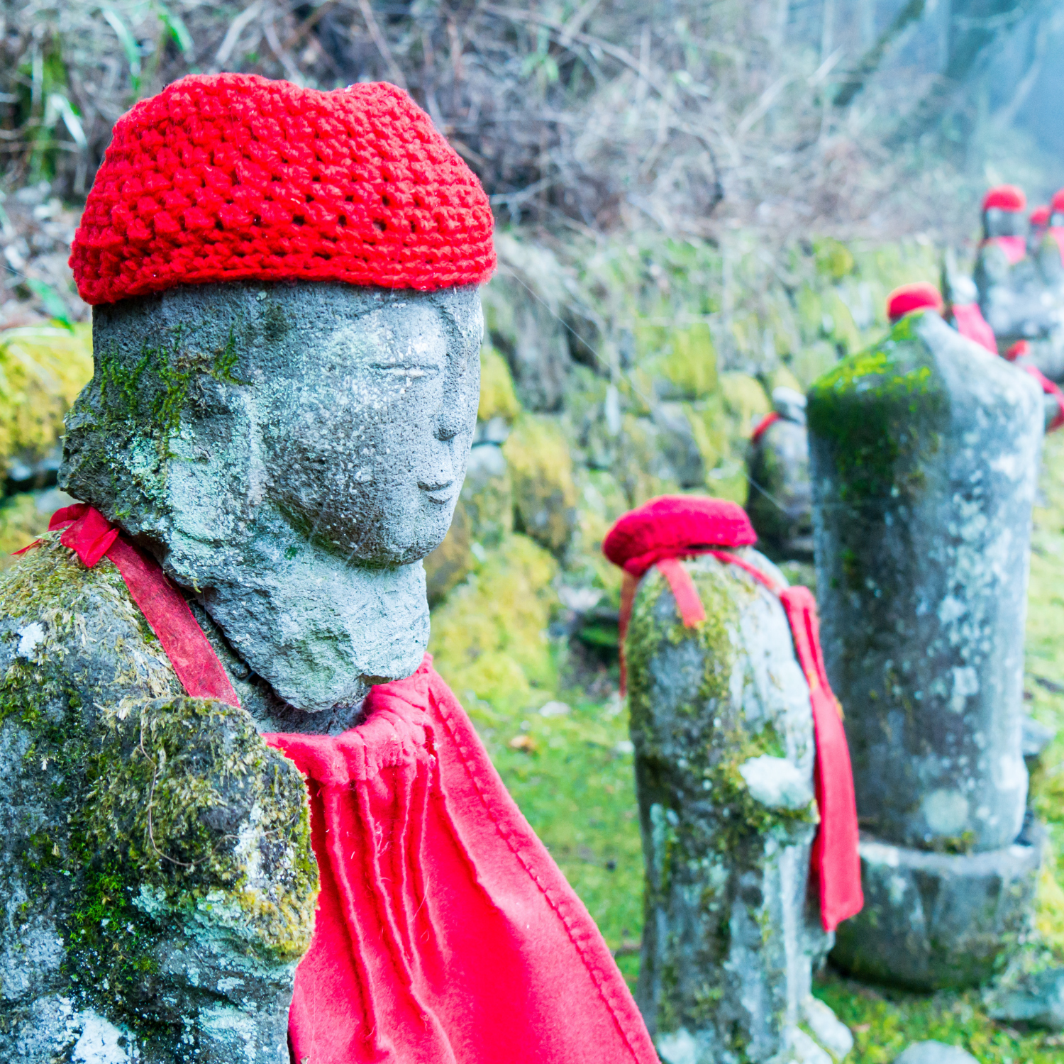 Private Nikko Day Tour from Tokyo – Fully Customizable