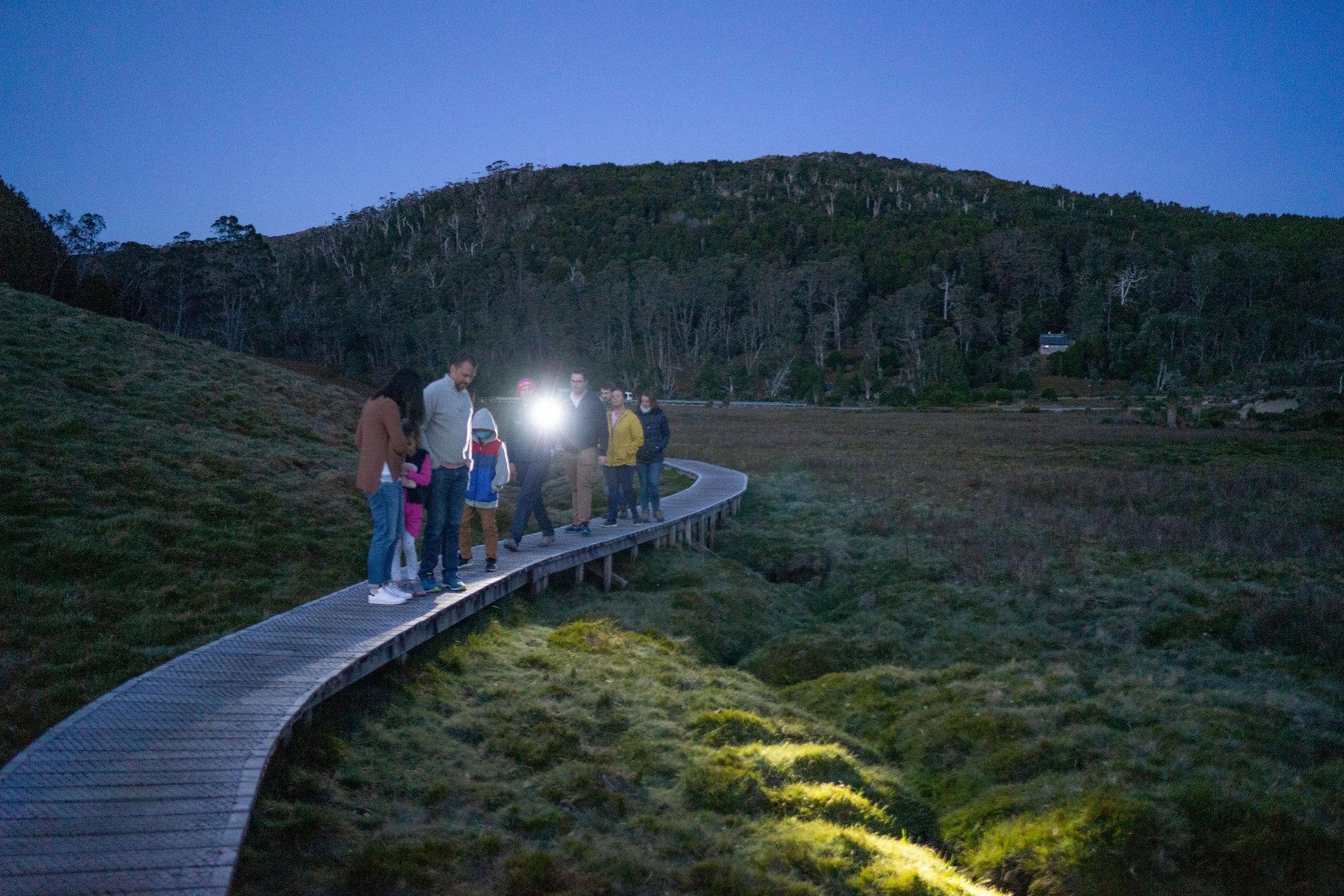 Cradle Mountain Nocturnal Wildlife Experience