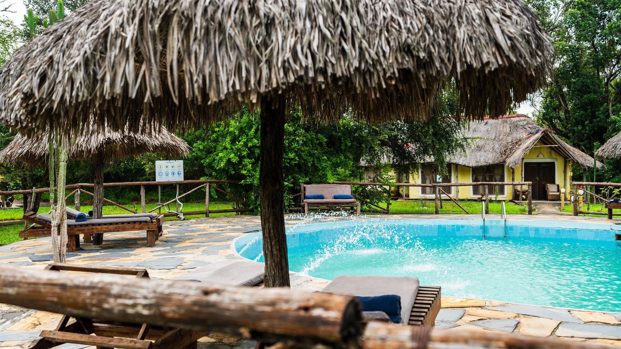 Zanzibar to Selous: 2-Day Safari with Flights & Bush Lunch