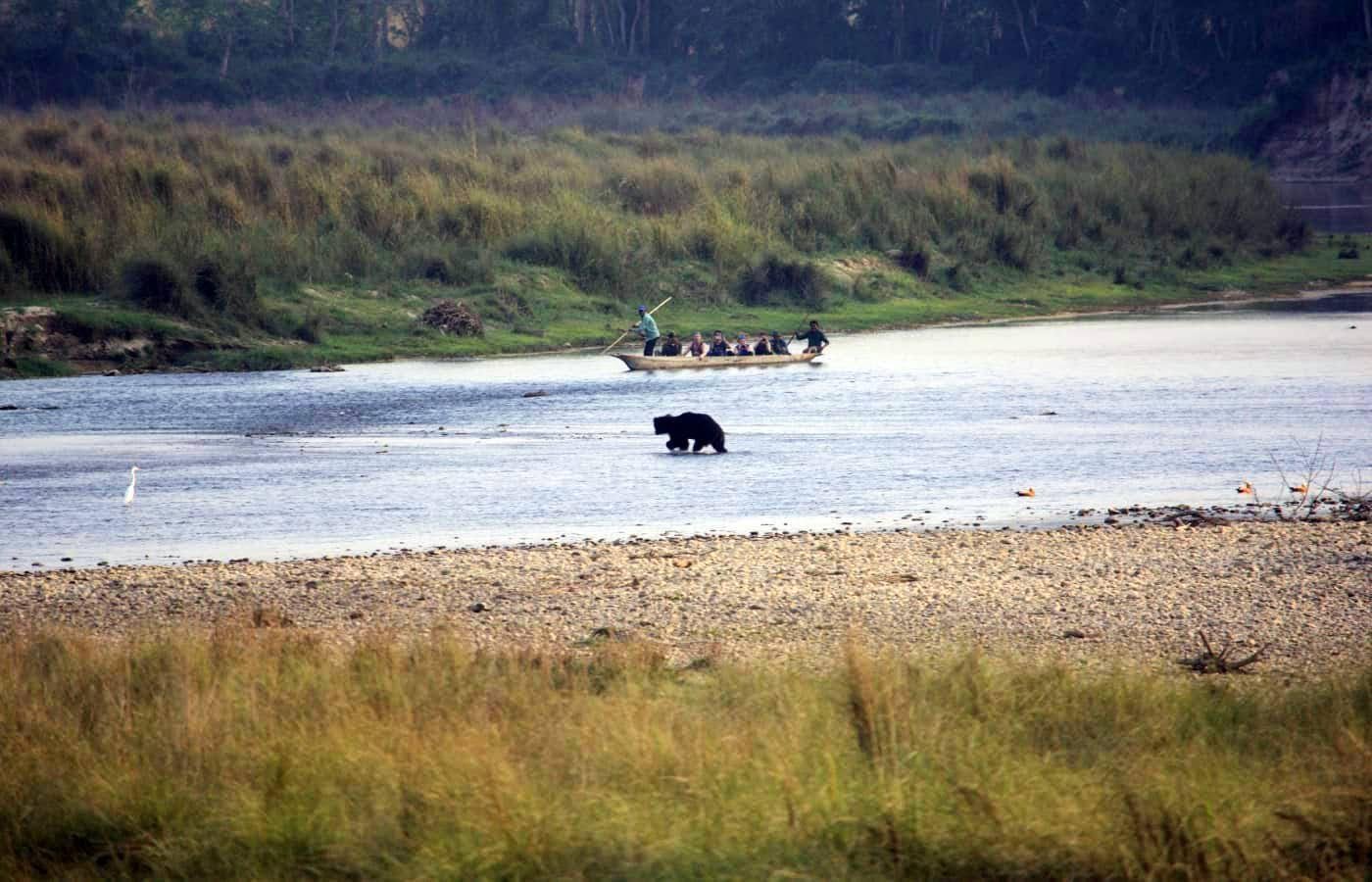 Chitwan Jungle Safari: 2, 3, or 4-Day Wildlife Adventure from Kathmandu or Pokhara