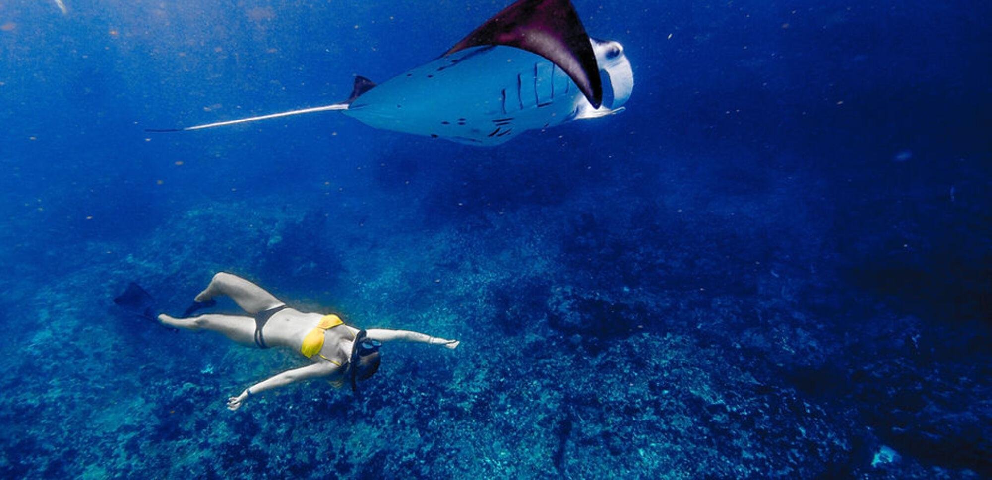 Ningaloo Reef Snorkel and Sea Turtle Boat Tour from Exmouth