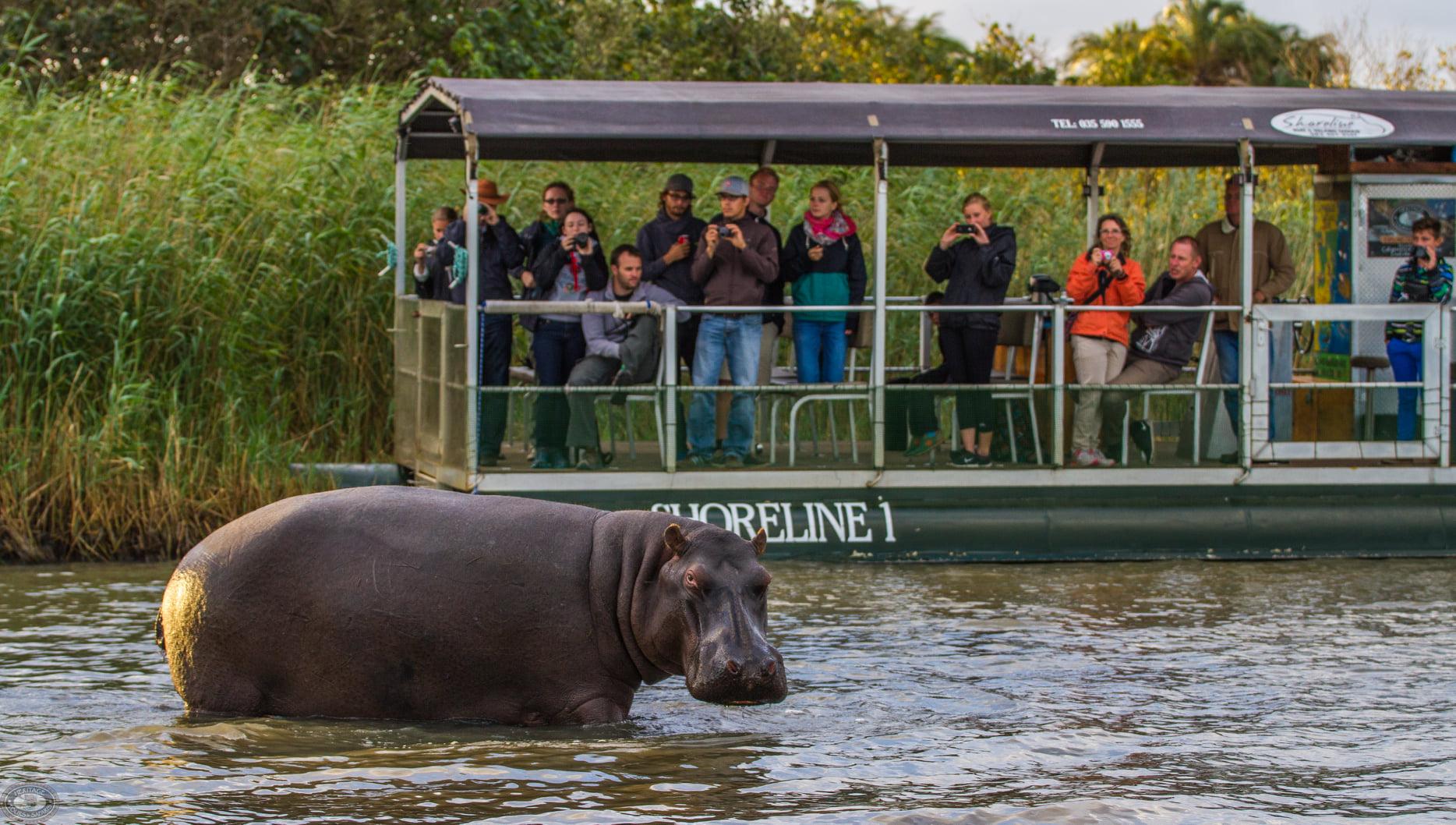 St Lucia Estuary Wildlife Cruise