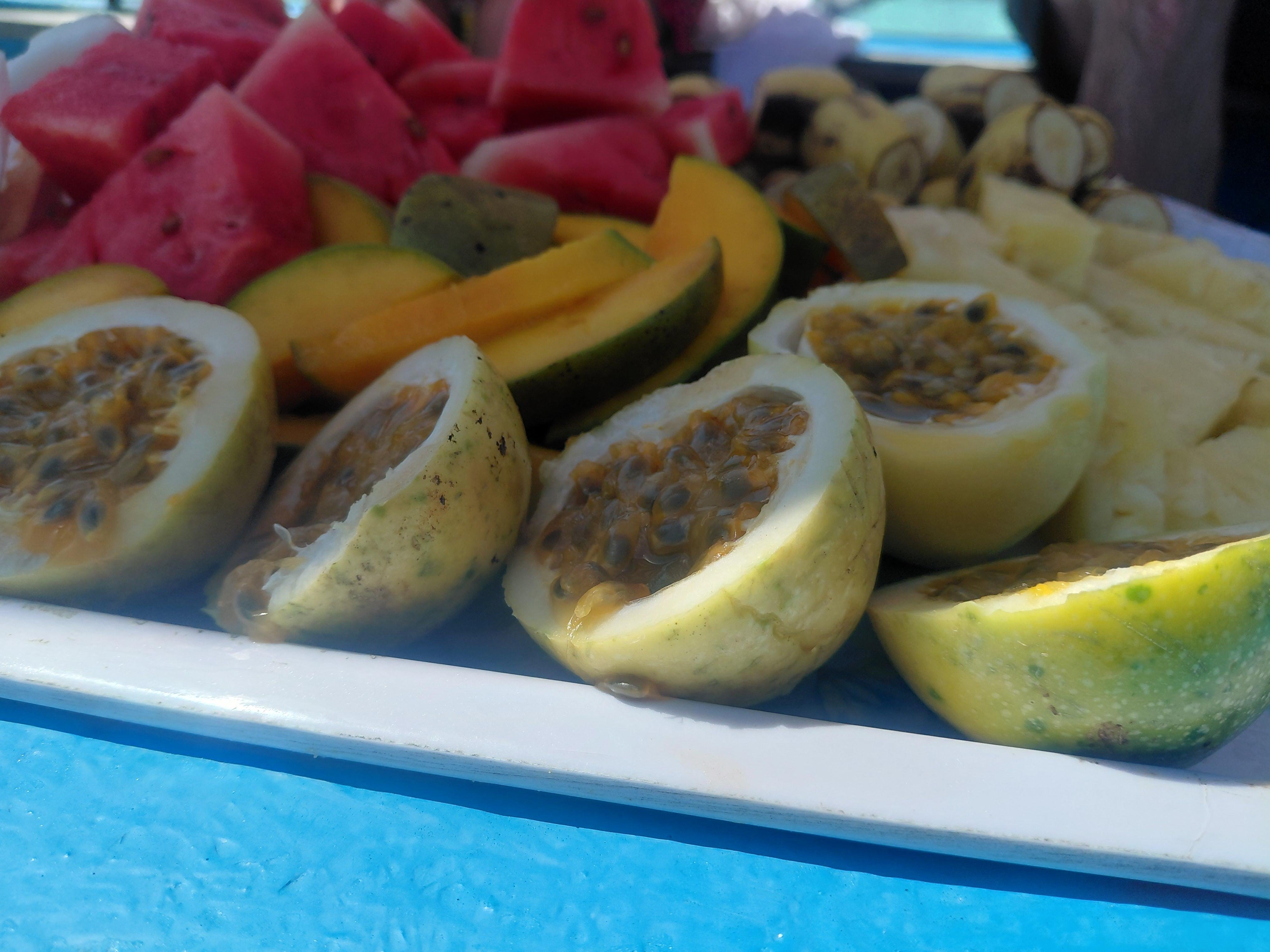 Zanzibar: Mnemba Island Dolphin Swim & Snorkel Adventure