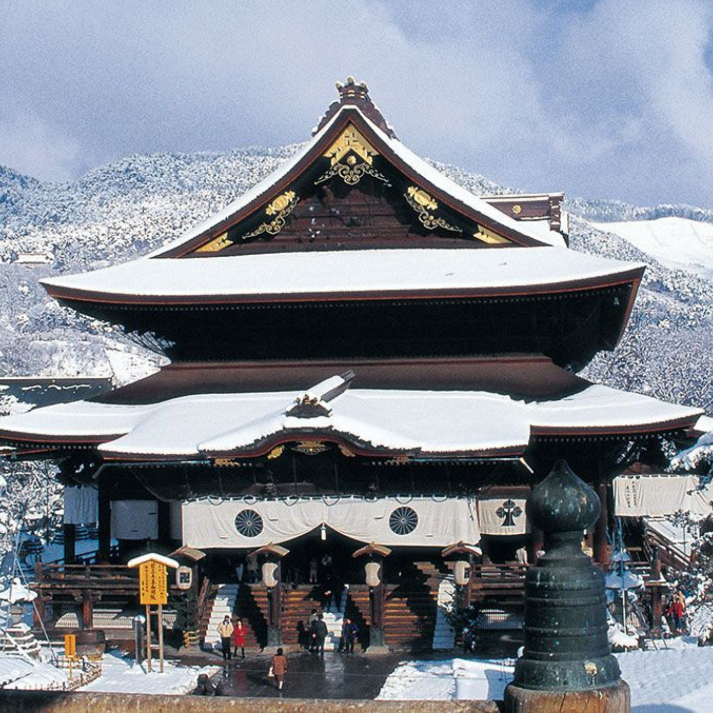Nagano Snow Monkeys & Temples Private Full-Day Tour from Tokyo or Nagano