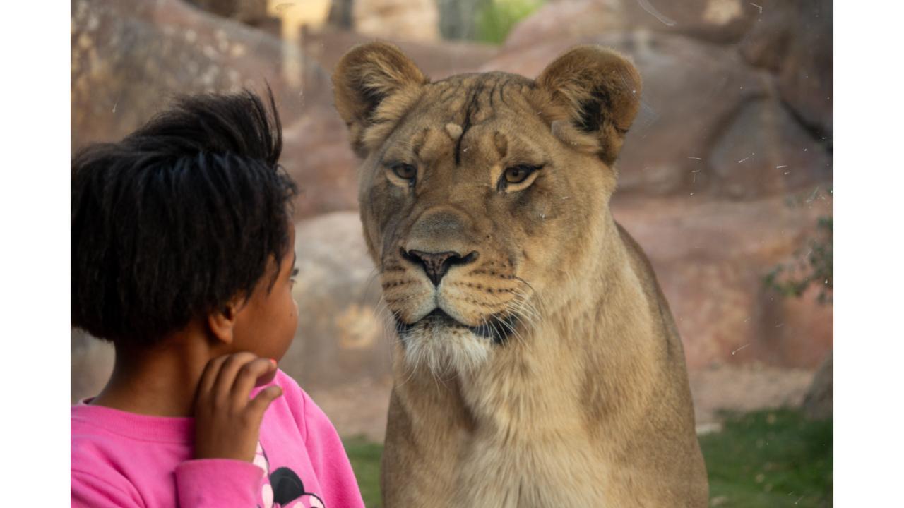 Phoenix Zoo: General Admission Ticket