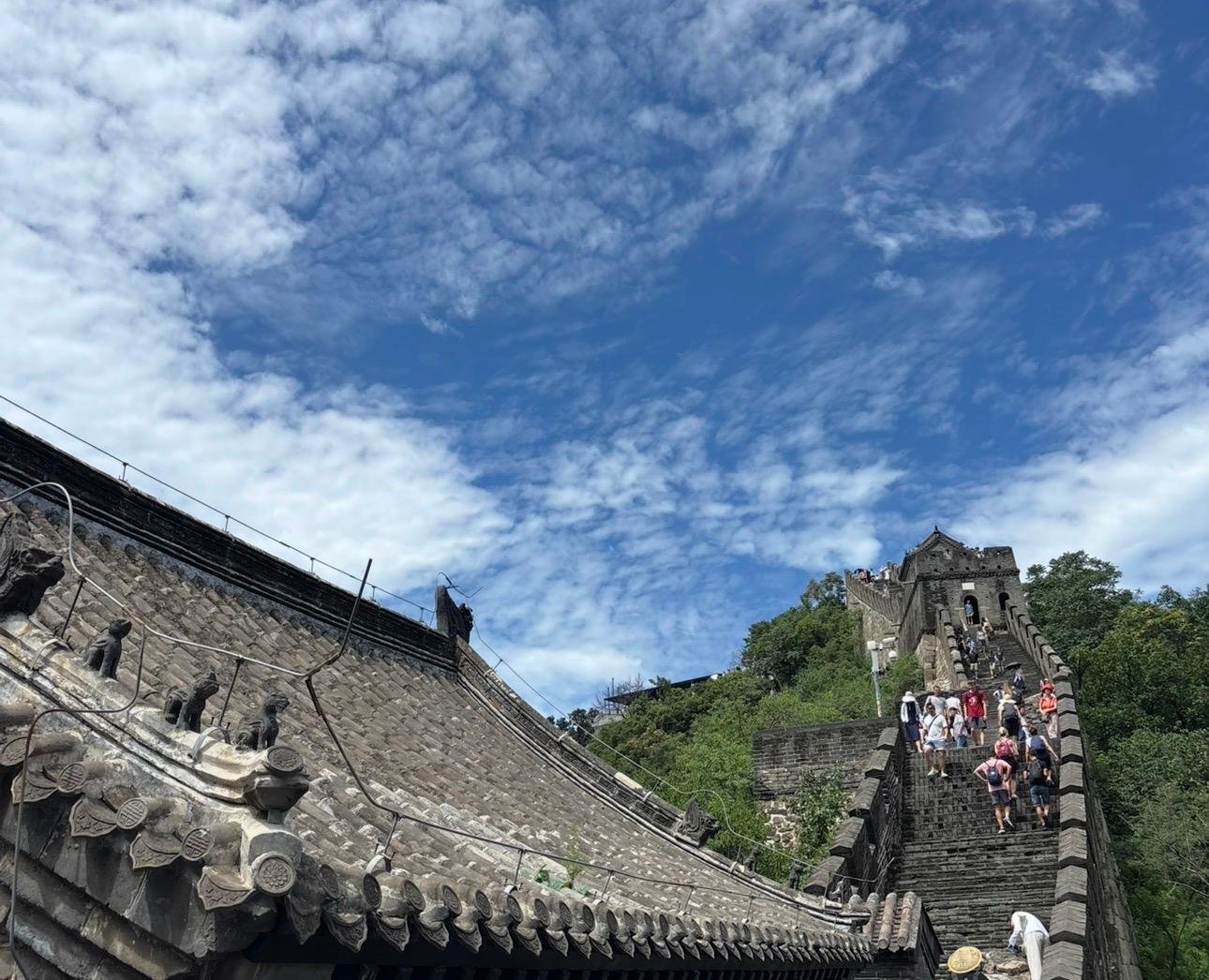 Beijing Private Full-Day Tour: Forbidden City & Mutianyu Great Wall