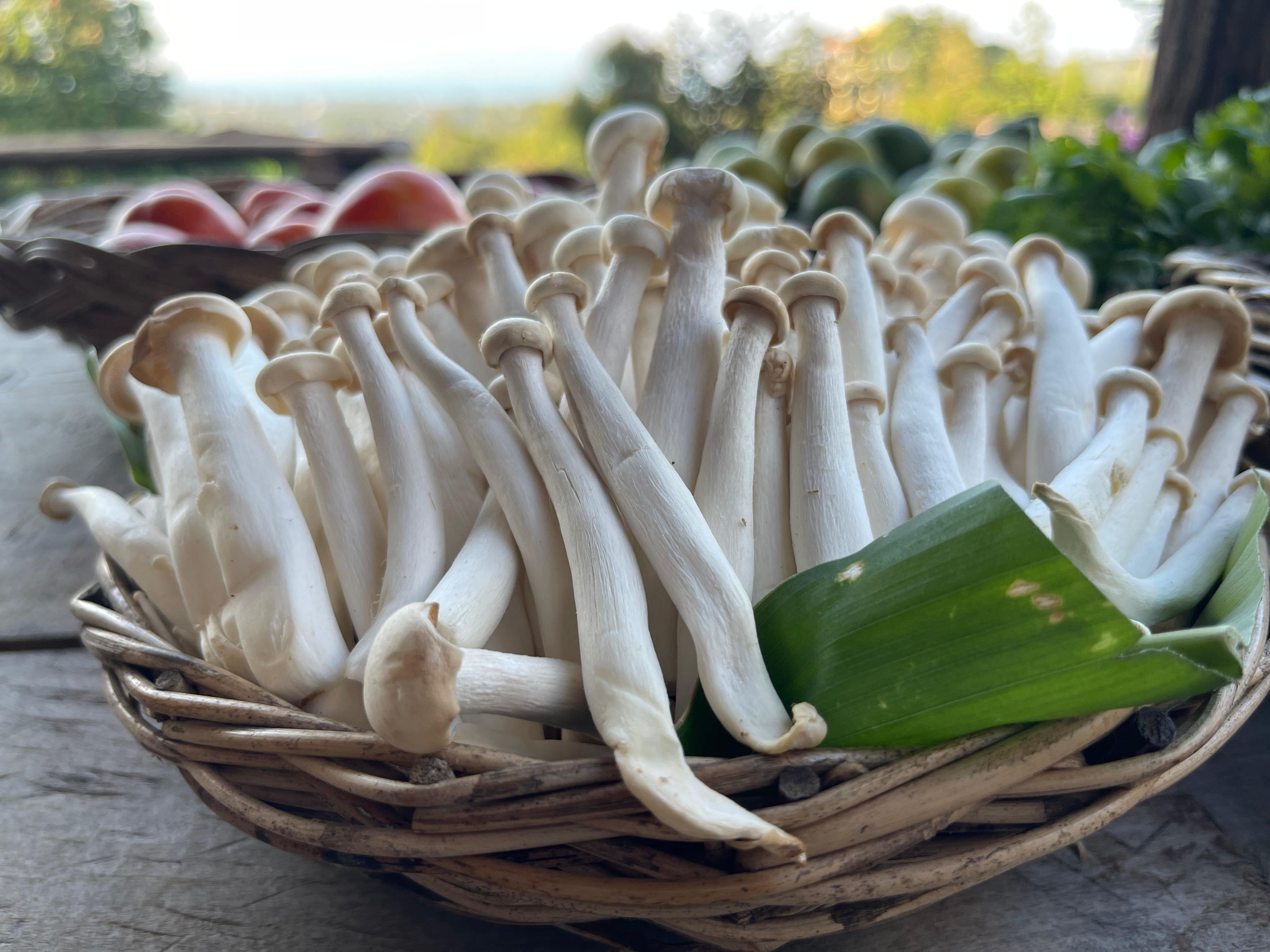 Evening Thai Cooking Class & Organic Garden Experience
