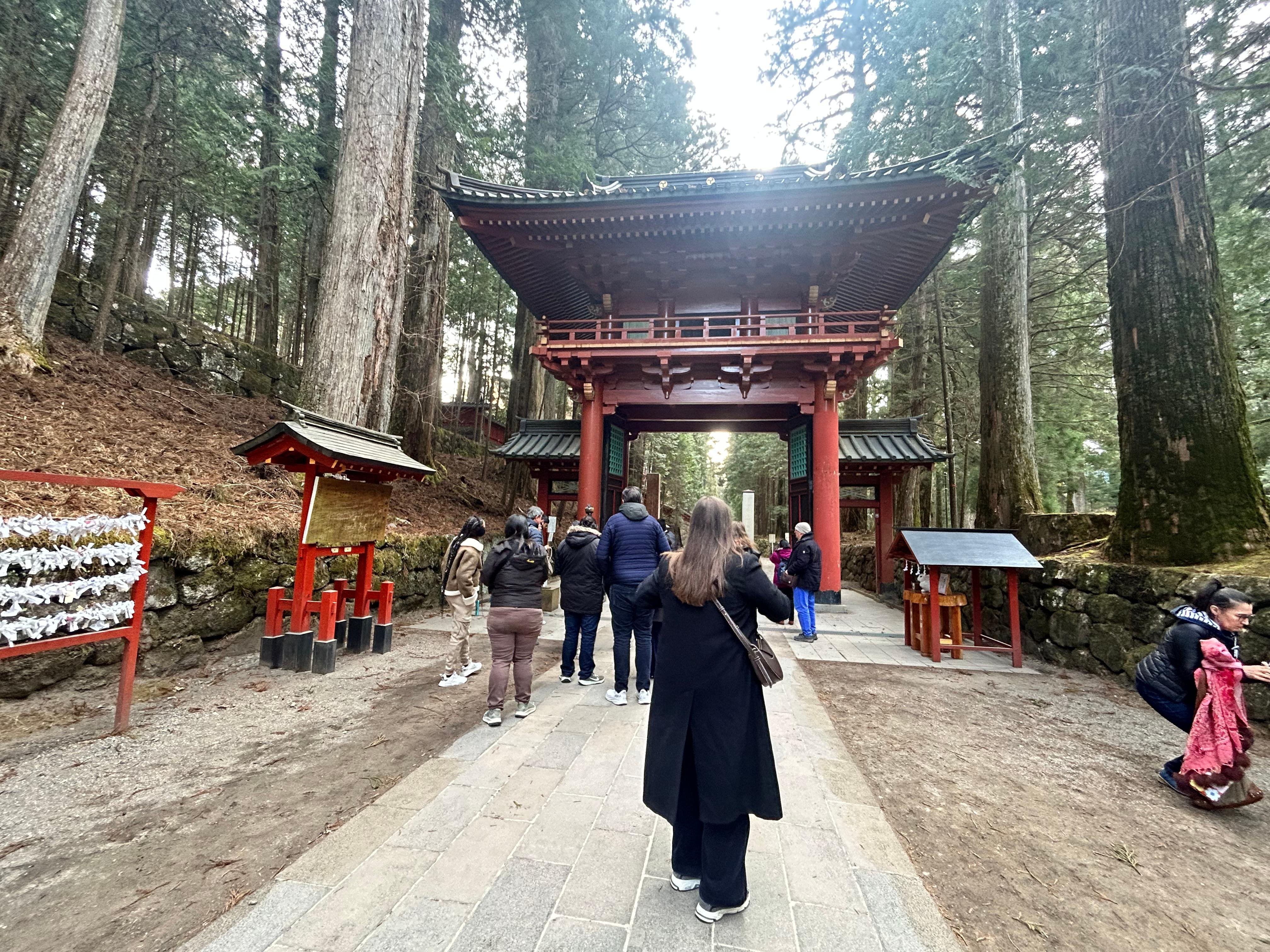Nikko Day Trip: Toshogu Shrine, Kegon Falls & Lake Chuzenji from Tokyo