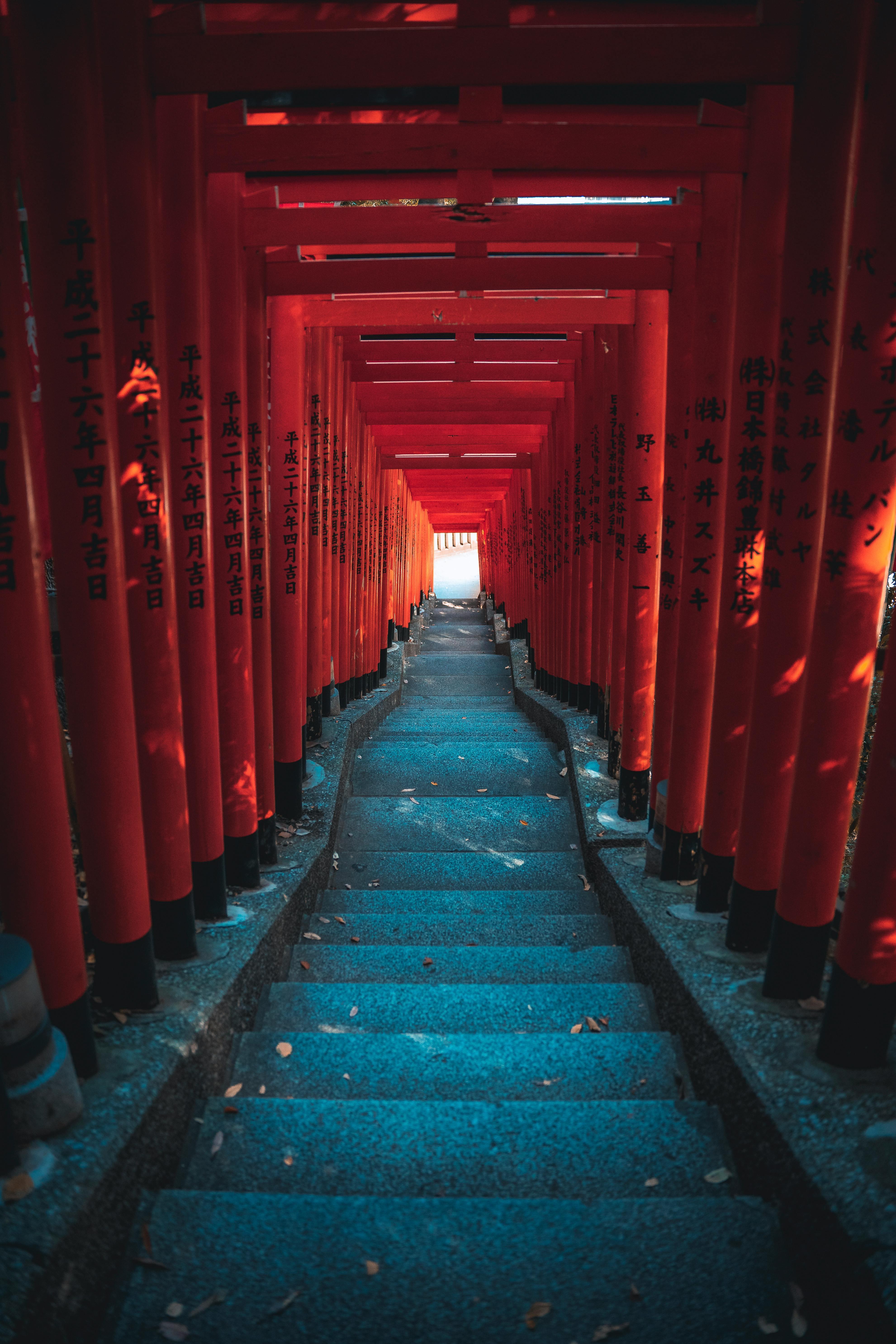 嵐山ガイド付きウォーキングツアー：竹林、禅寺、モンキーパーク