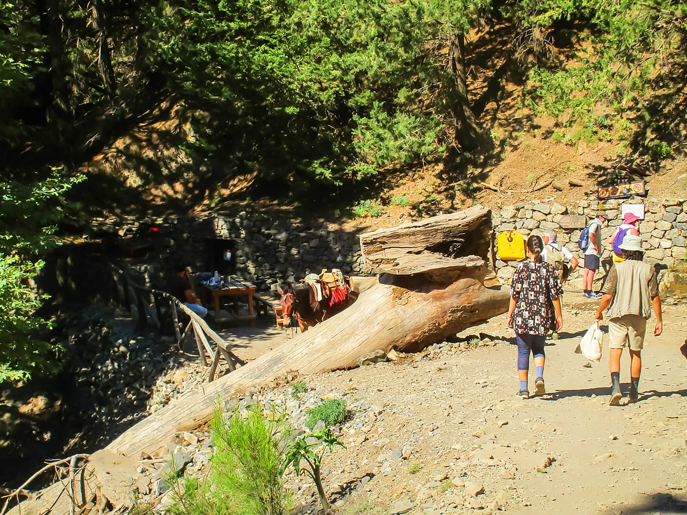 Samaria Gorge hike Crete — Xyloskalo descent, Iron Gates Sideroportes, kri-kri ibex, Agia Roumeli Libyan Sea — image 53