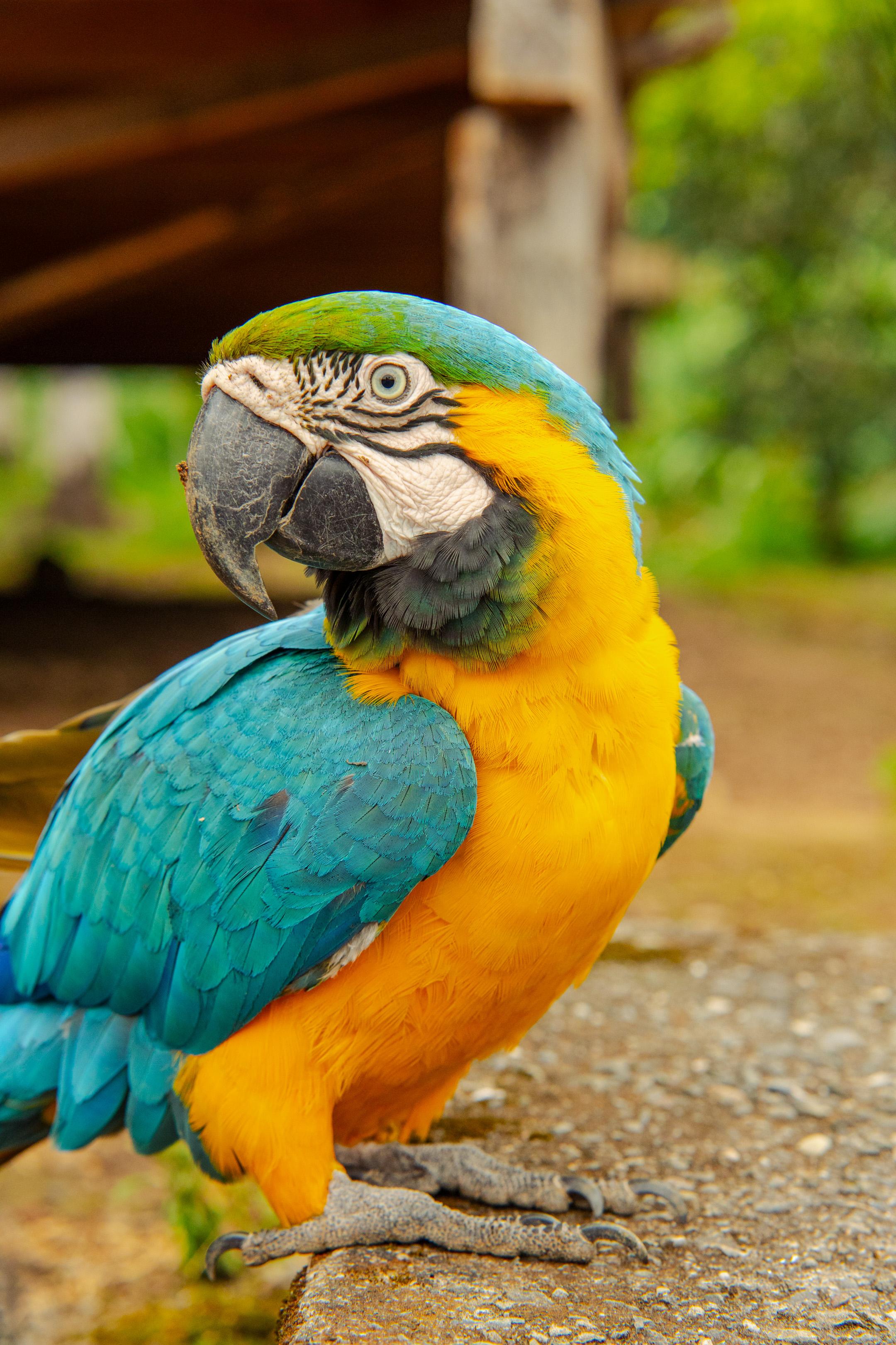 Amazon Full-Day Private Tour: Rainforest, Culture & Waterfalls