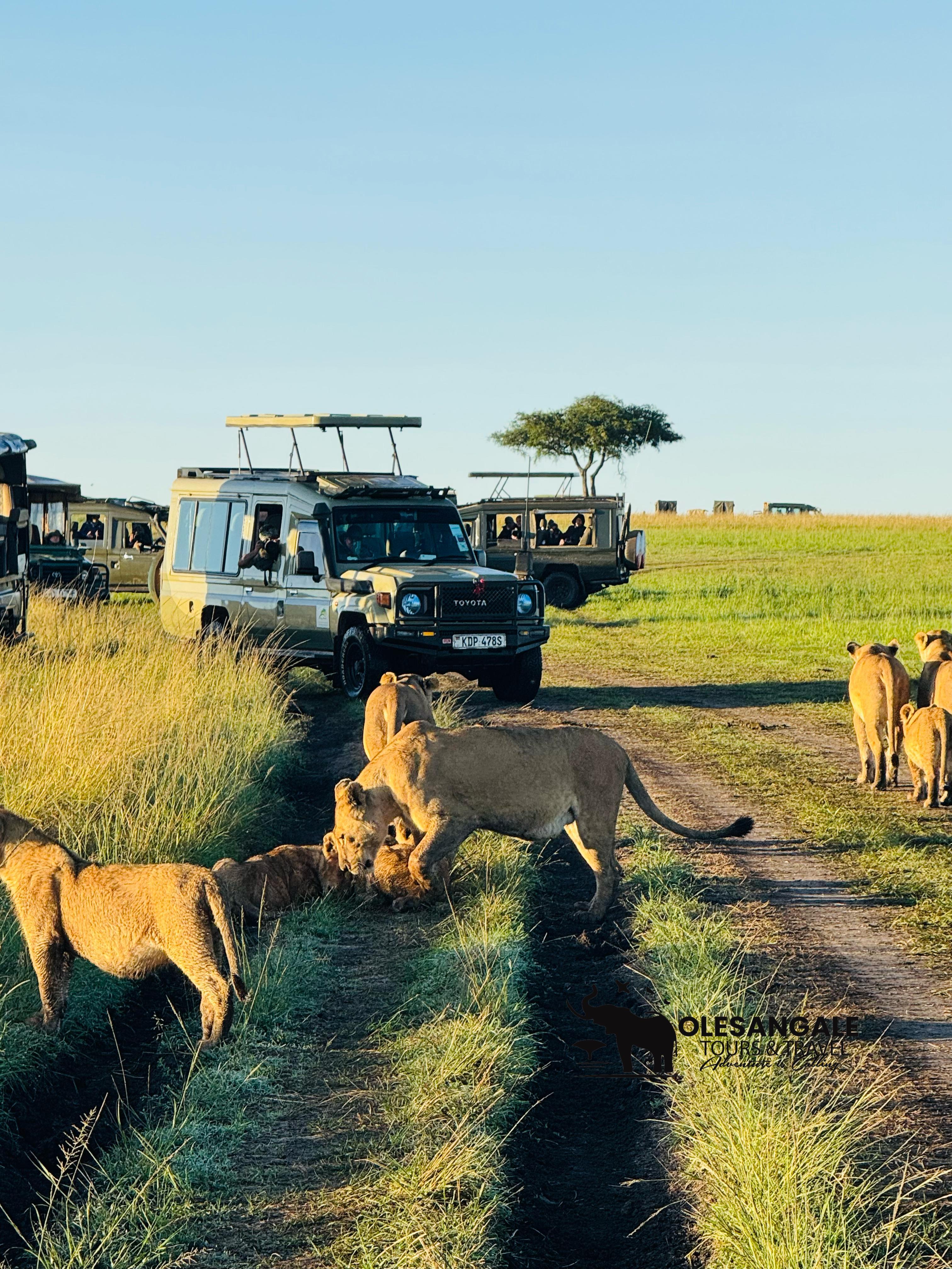 Nairobi to Masai Mara Safari & Masai Village Day Trip