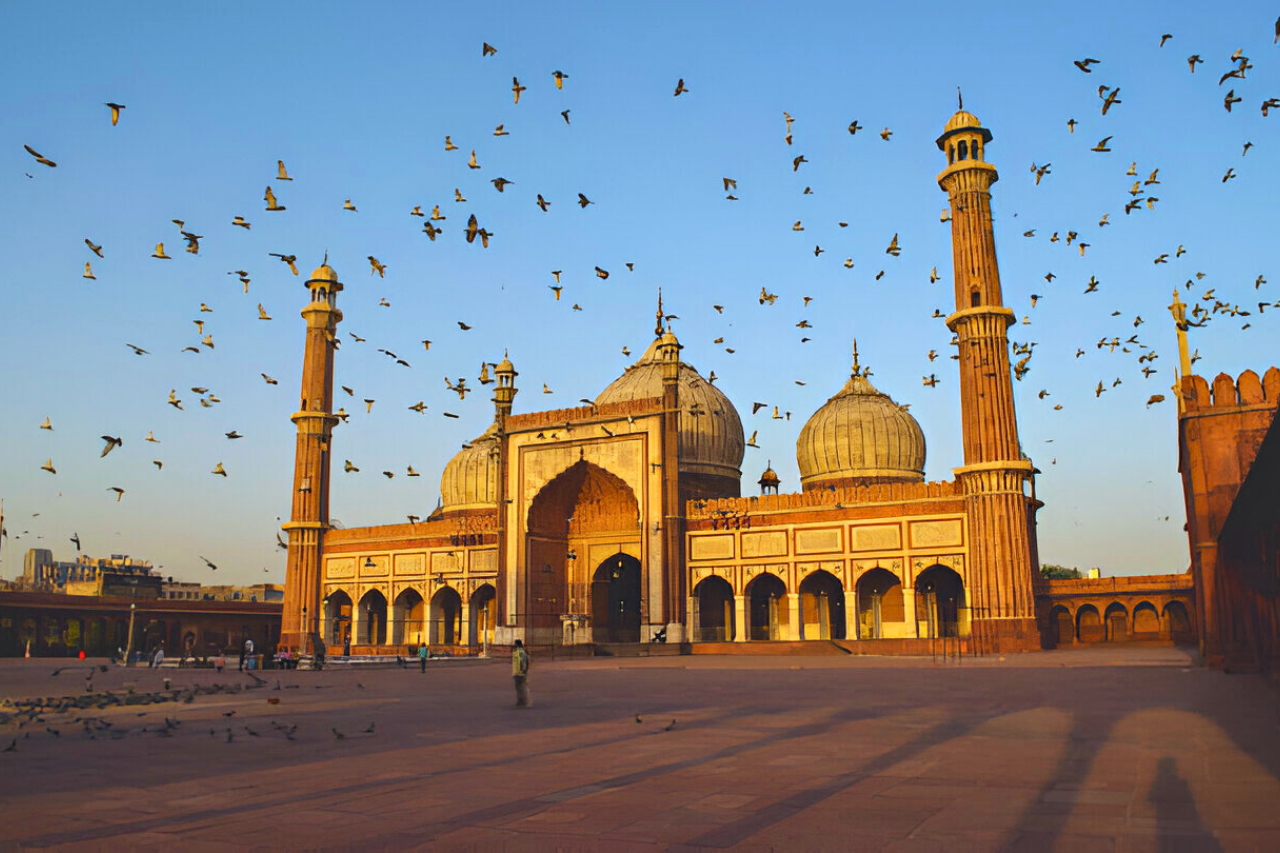 Delhi Spiritual & Cultural Discovery Tour
