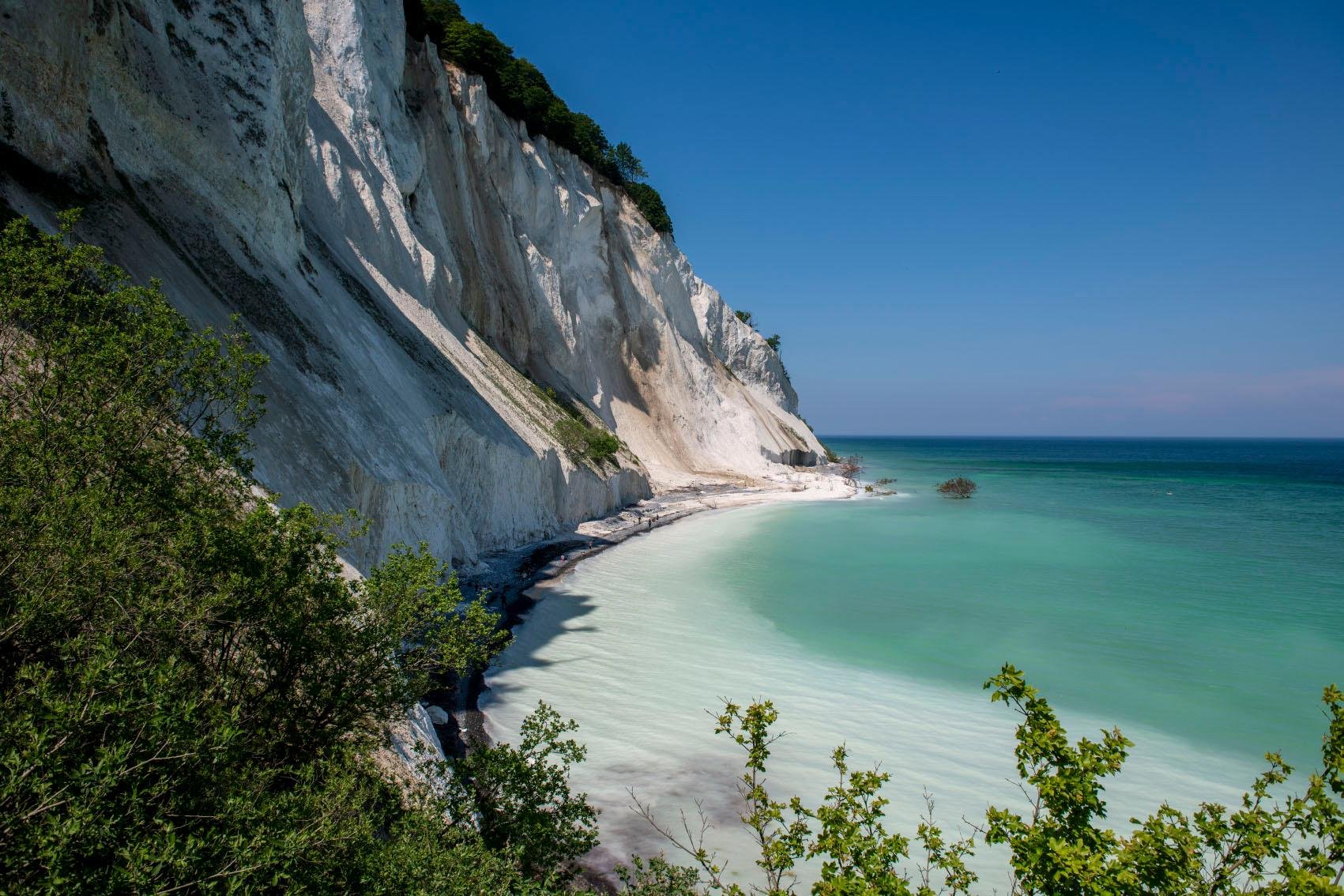 Møns Klint day trip from Copenhagen — image 8
