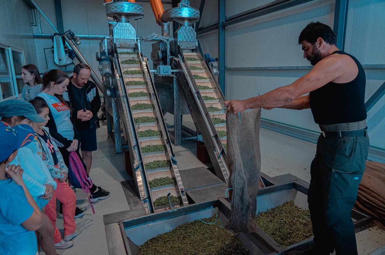 Heraklion Olive Mill Experience with Tasting
