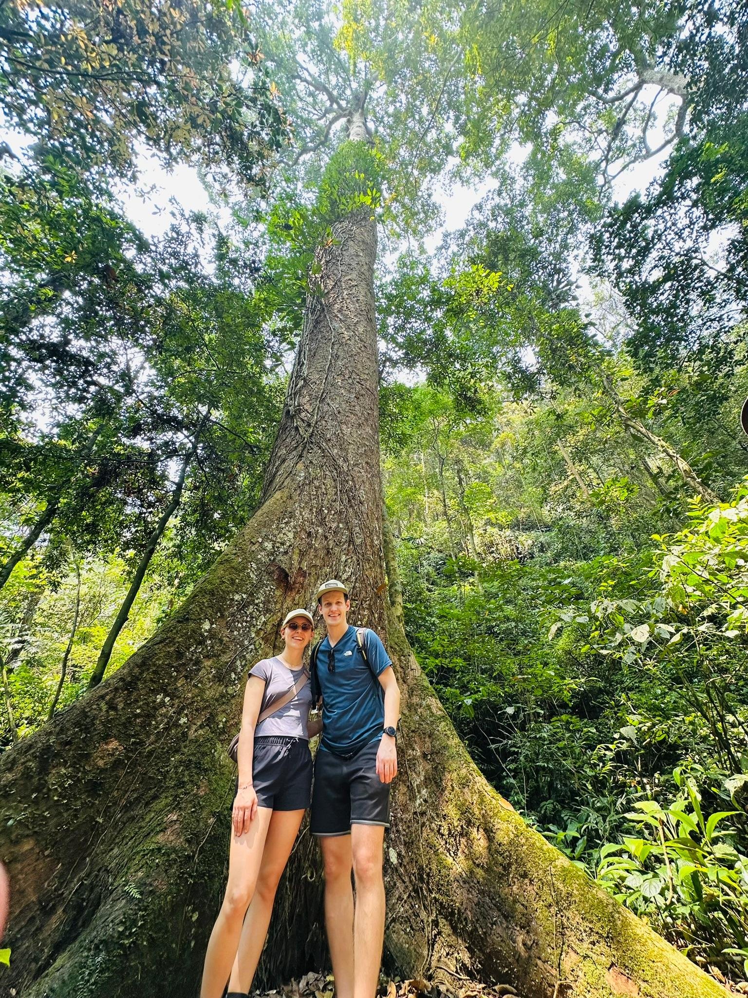 Cuc Phuong National Park Day Trek & Bear Sanctuary from Ninh Binh
