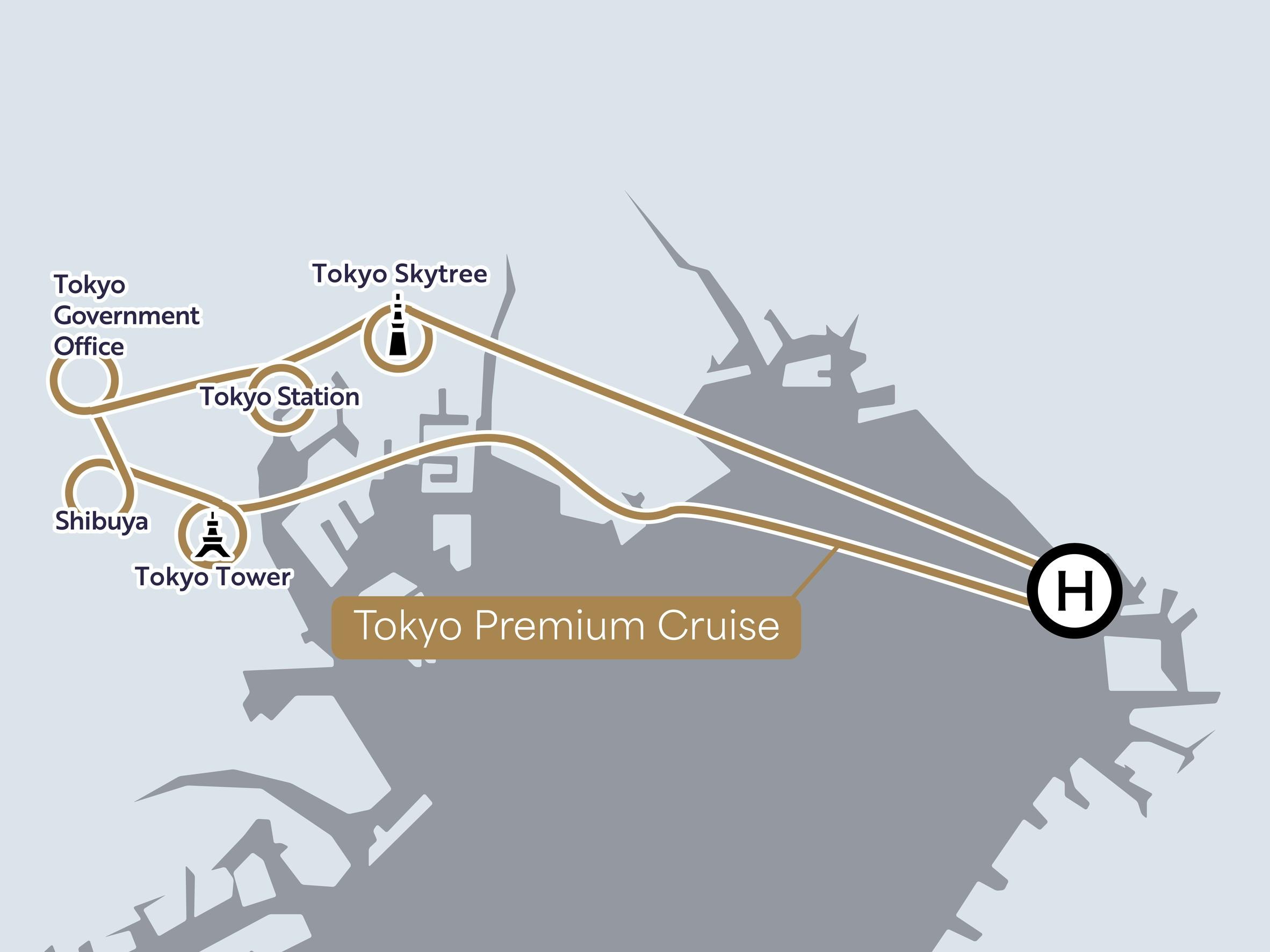 Tokyo night helicopter tour — image 10