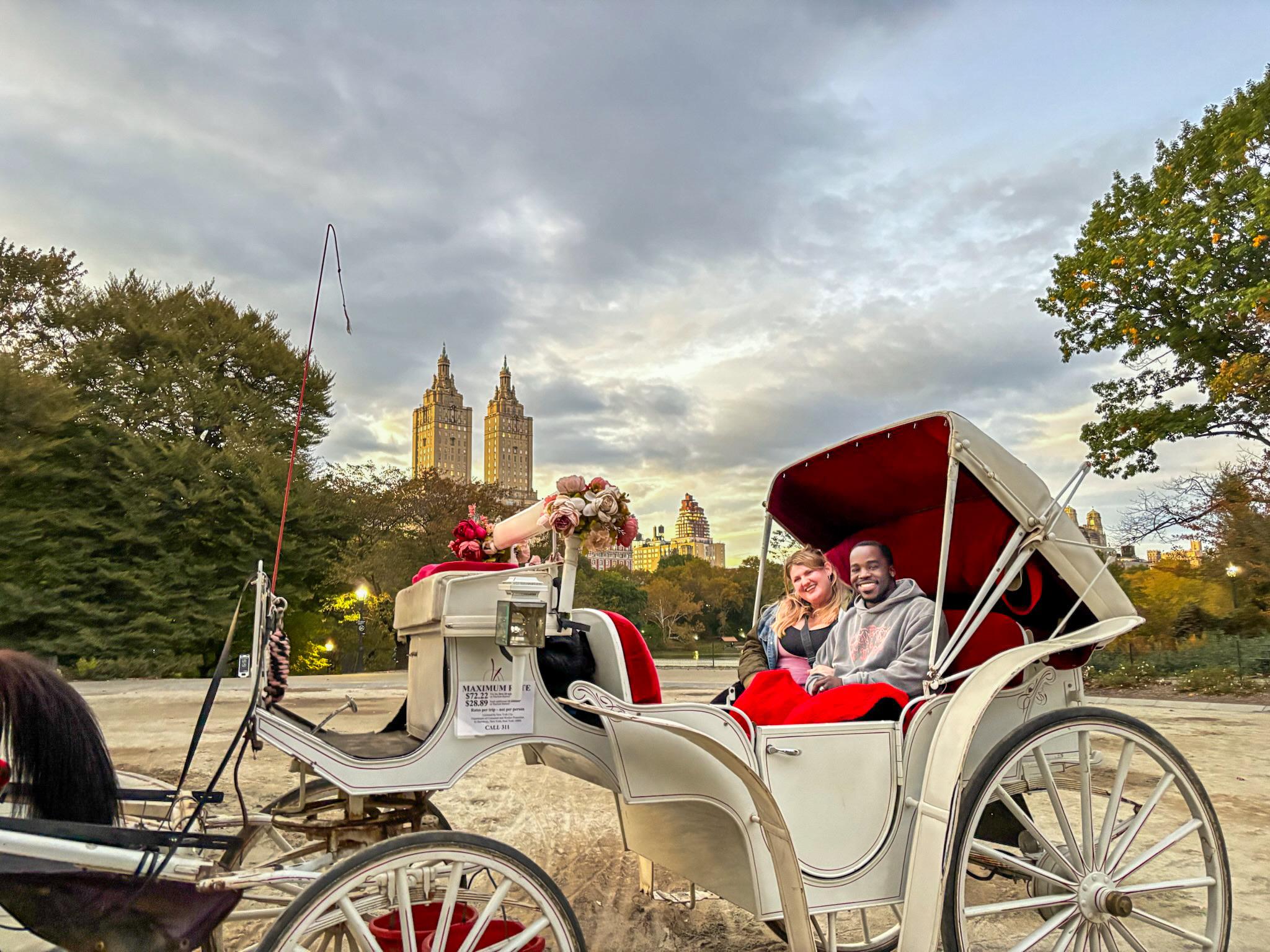 Central Park horse carriage ride — image 10