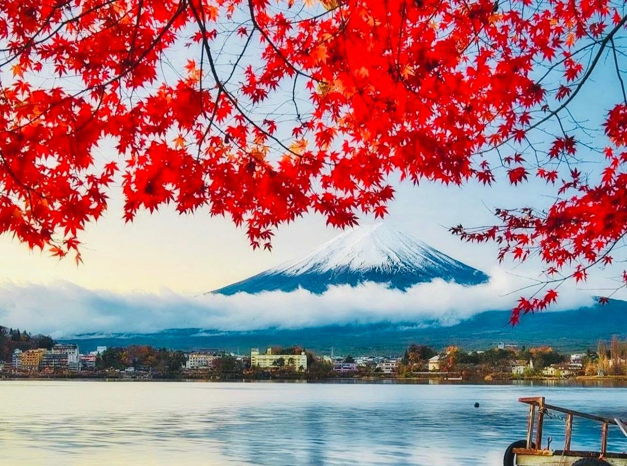 Tokyo to Mt. Fuji Private Luxury Day Tour with Hotel Pickup