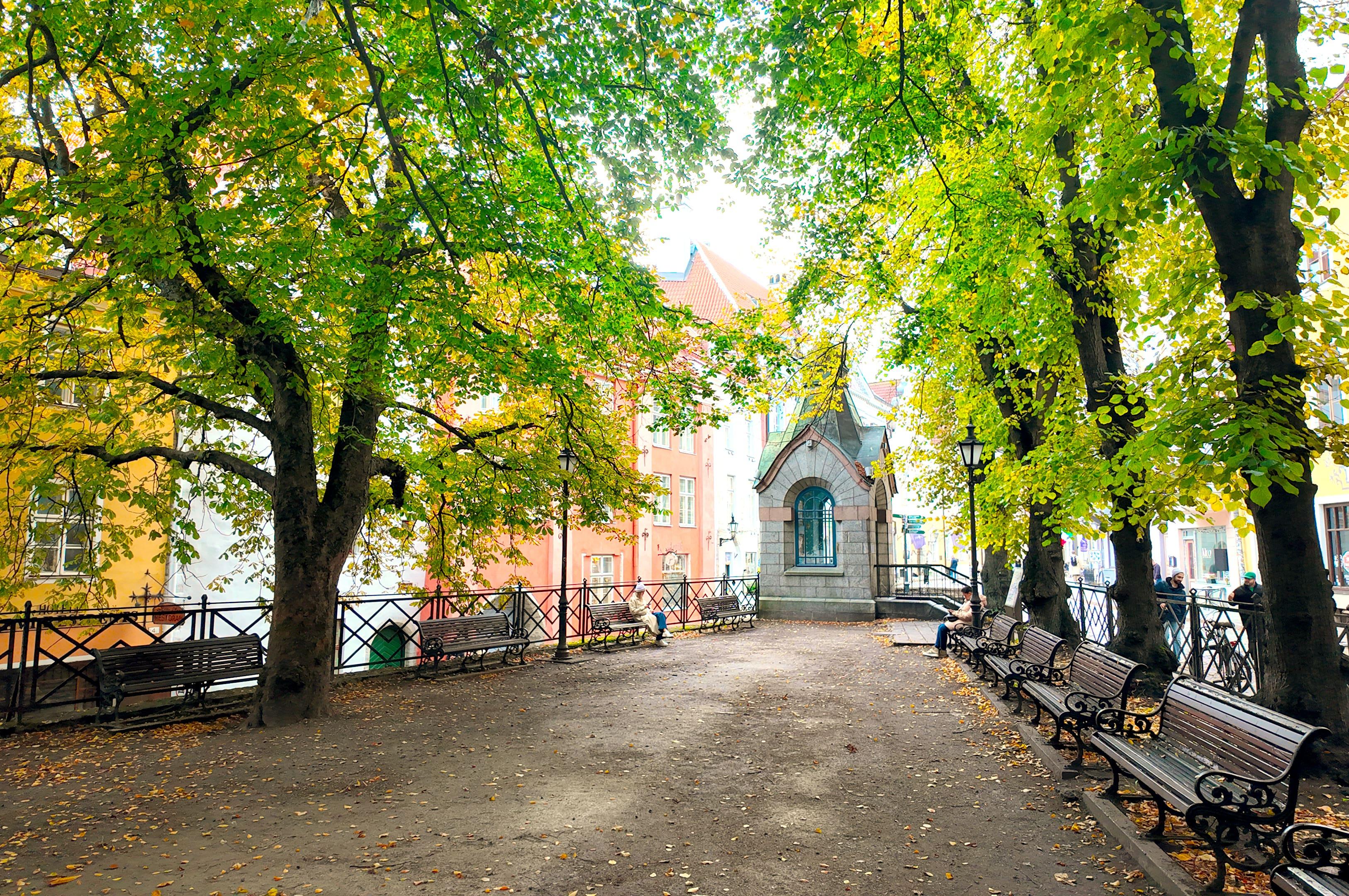 Tallinn Tales: Combined Bus & Walking Discovery