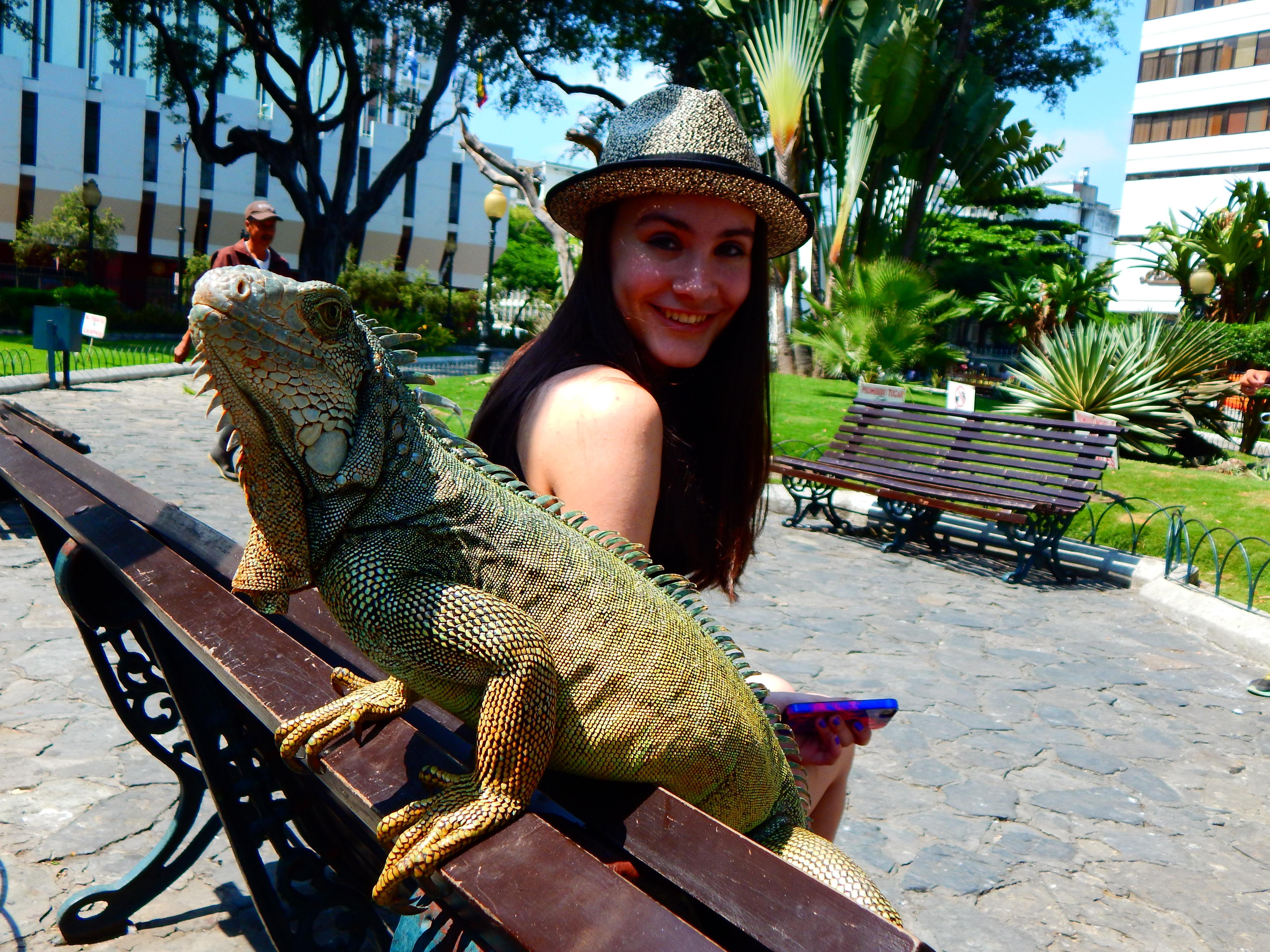 Private Custom Guayaquil Sightseeing Tour