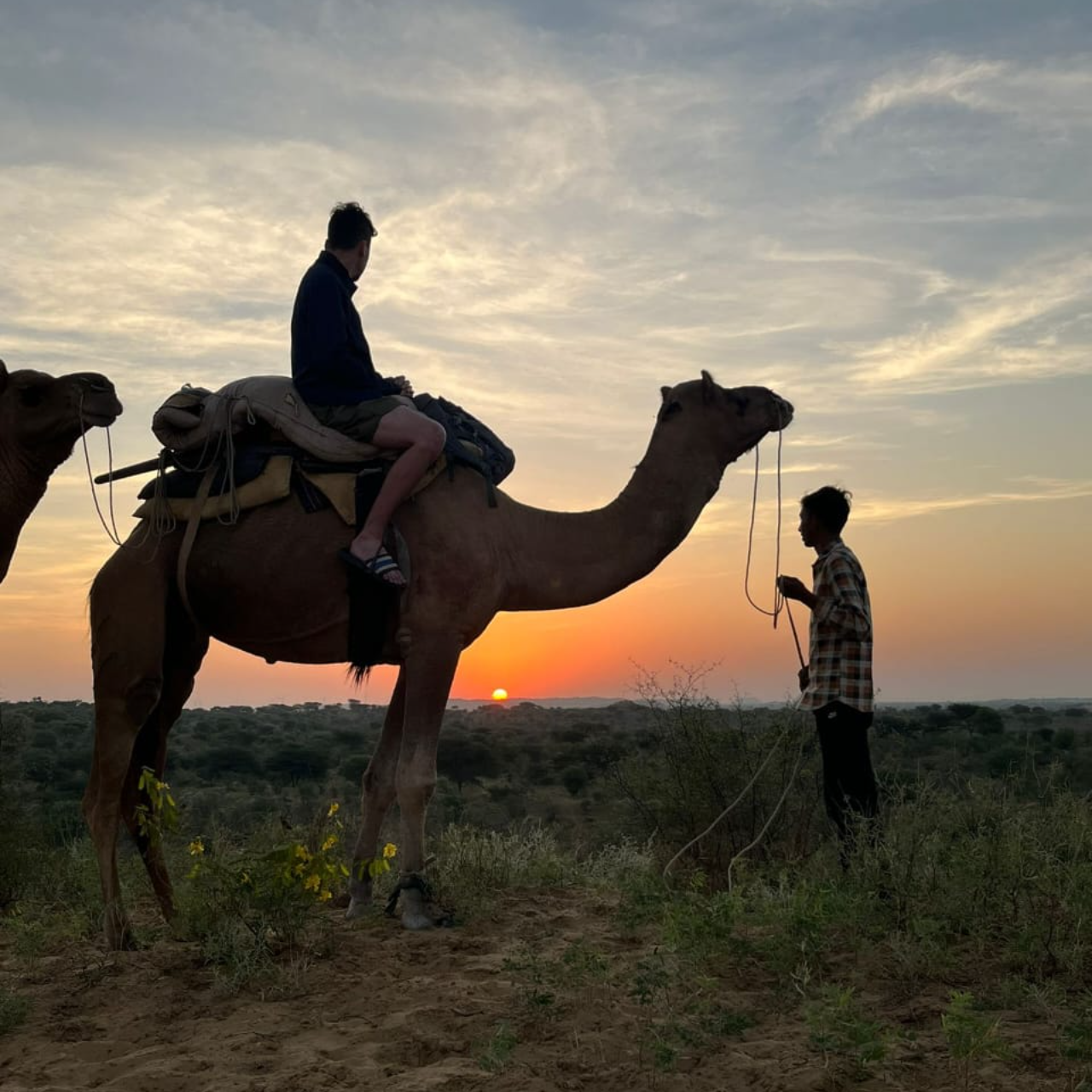 Jodhpur Desert Expedition: Osian Dunes, Camel Ride & Cultural Night