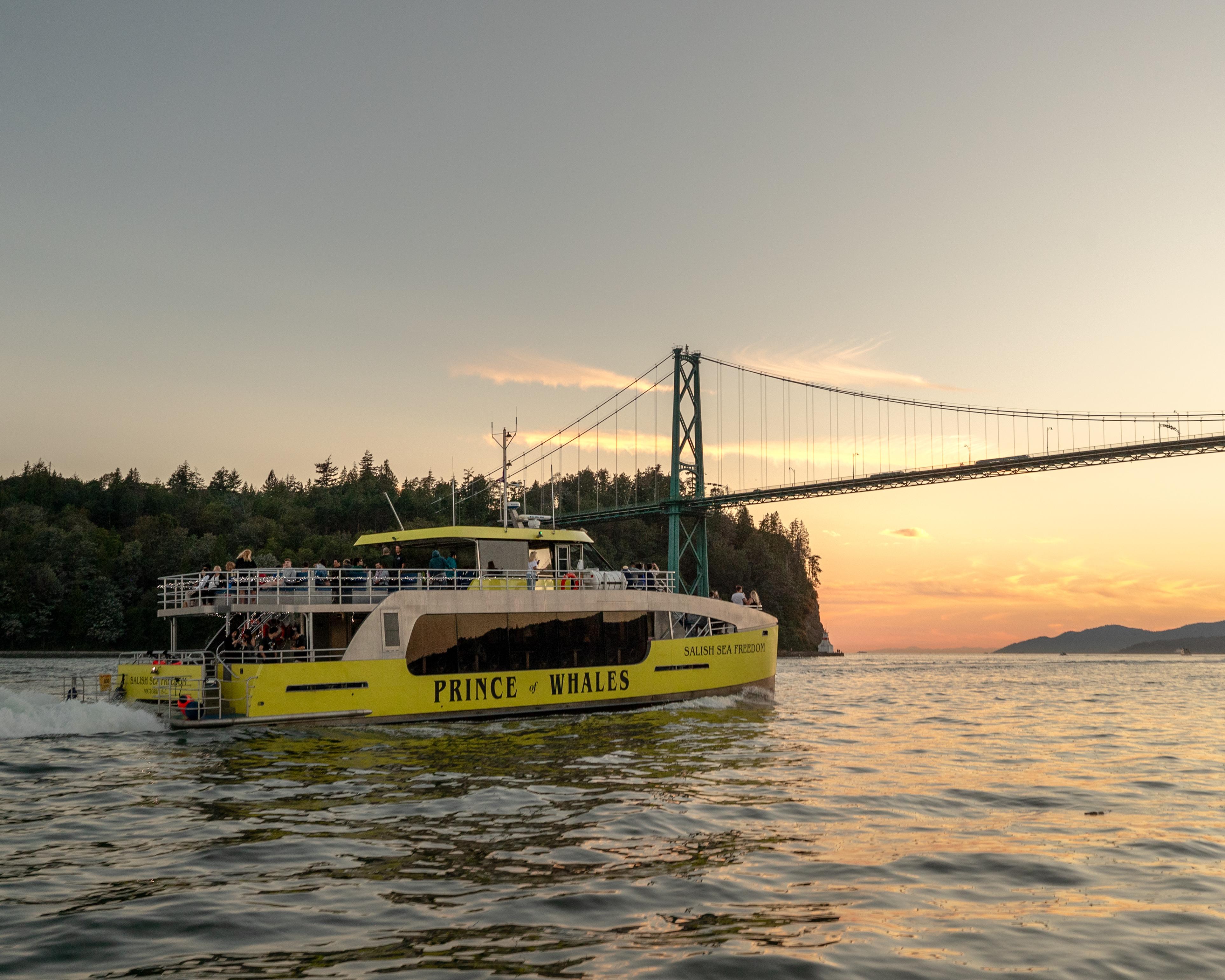 Steller sea lions on a rocky islet — Salish Sea wildlife on the Vancouver whale watching route